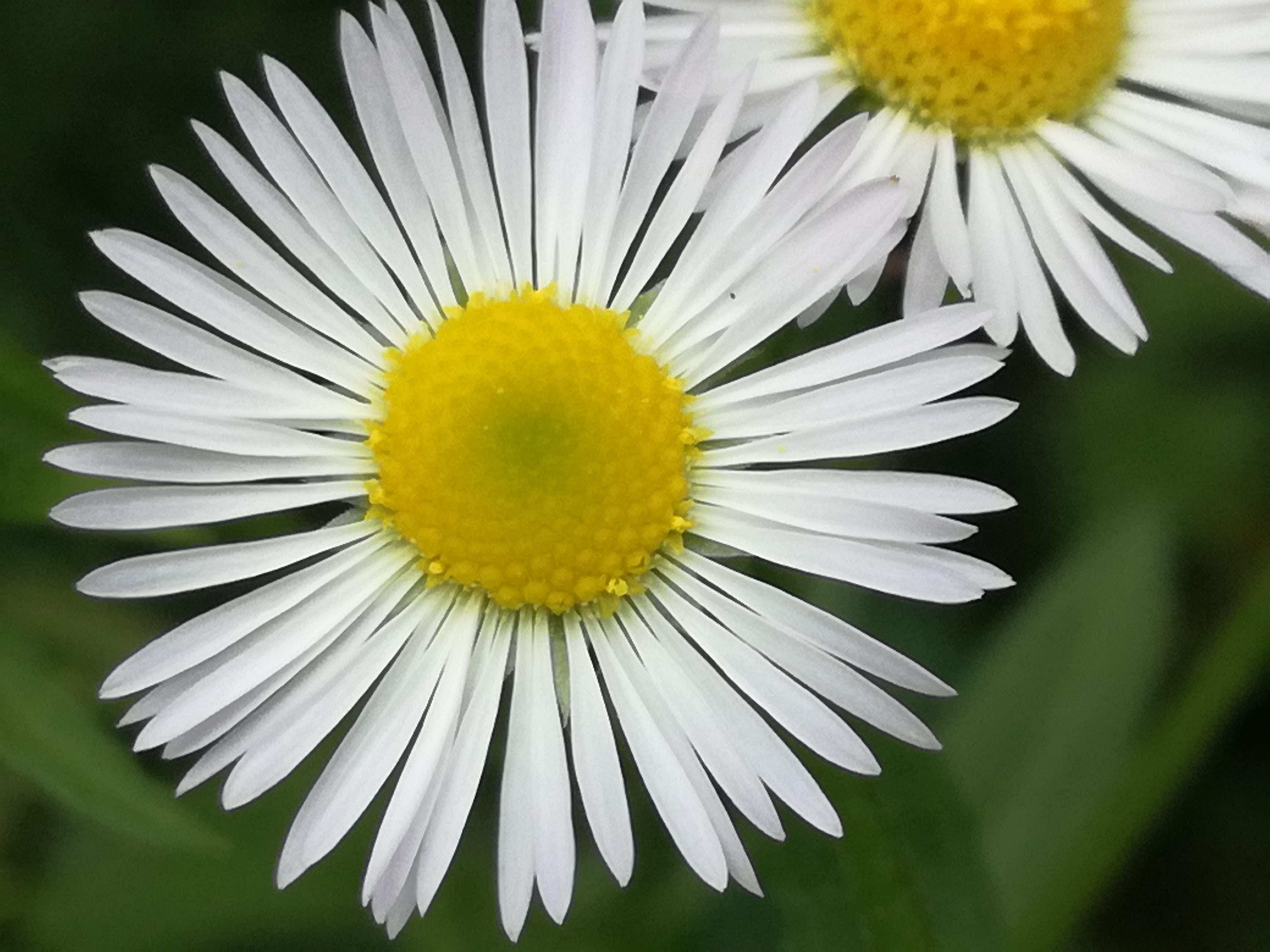 05072018113424 3802 art 564 img 20180703 121829