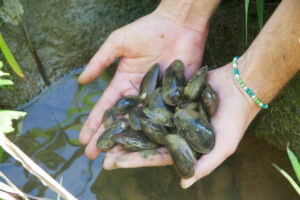 05092013093509 1993 art 1103 unio crassus hand