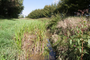 05092013093912 1994 lebensraum 1103 kutschenitza