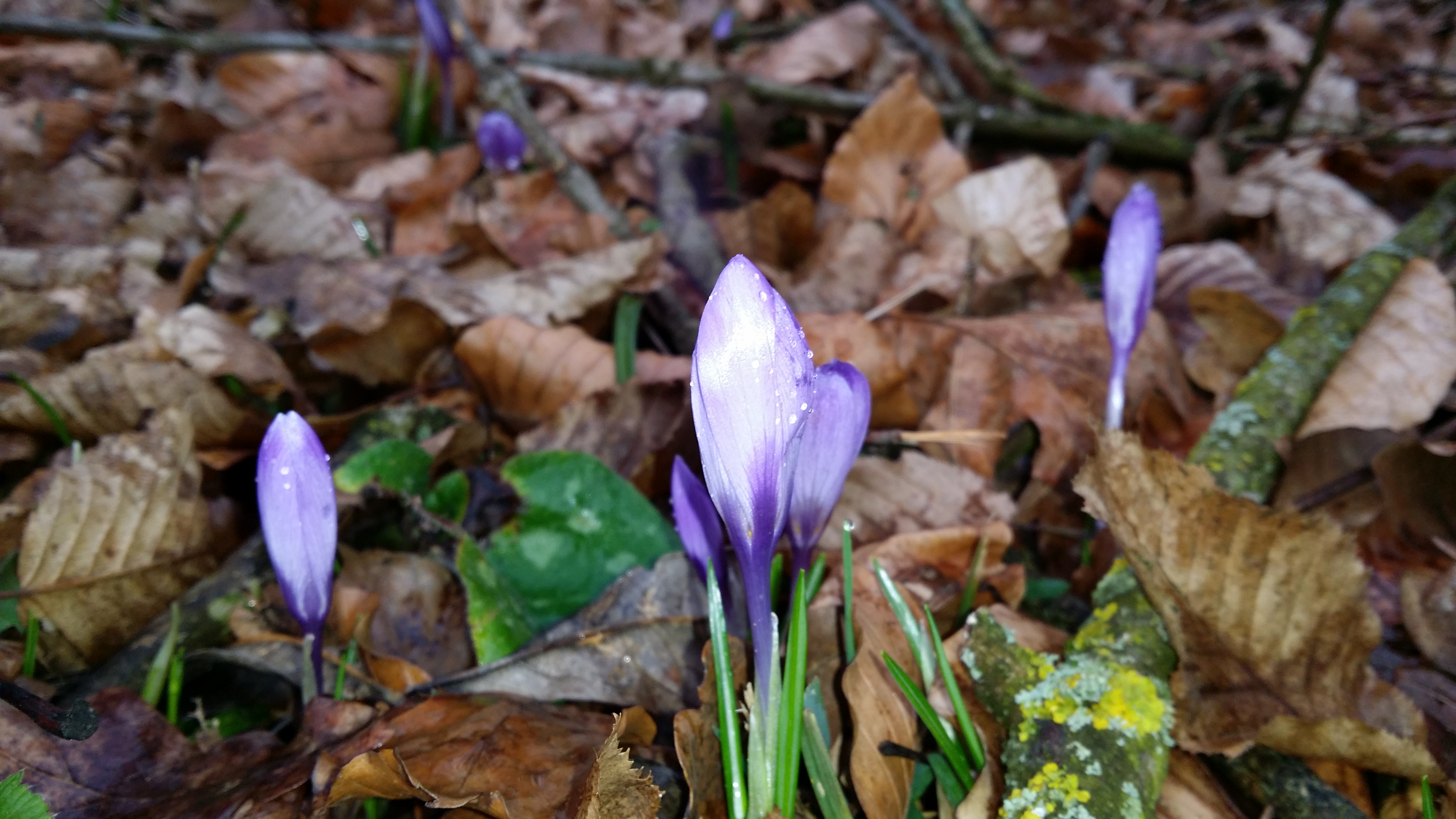 06032016144947 2793 art 1743 20160214 132829