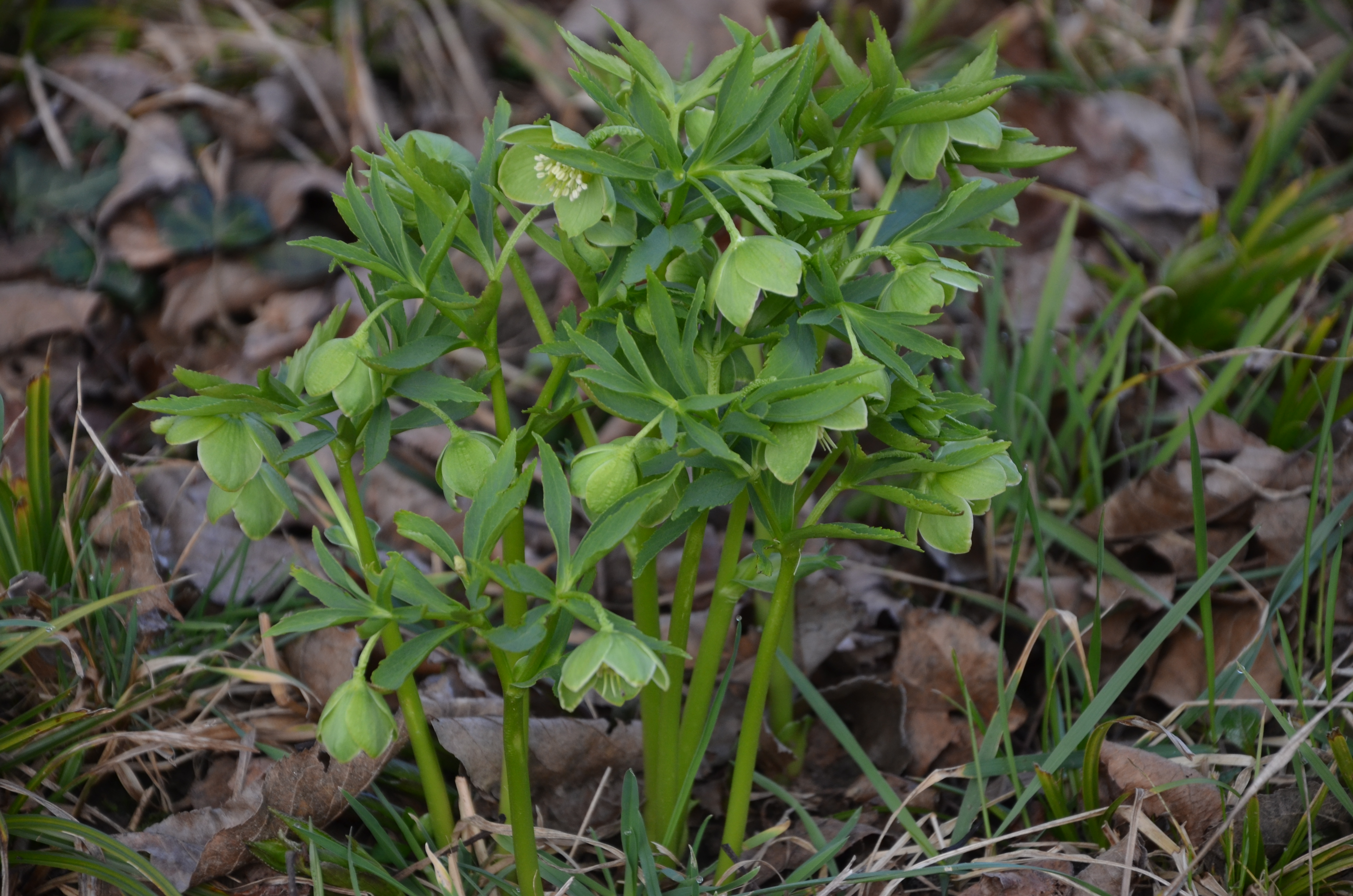 06032016151245 2794 art 1744 dsc 7499