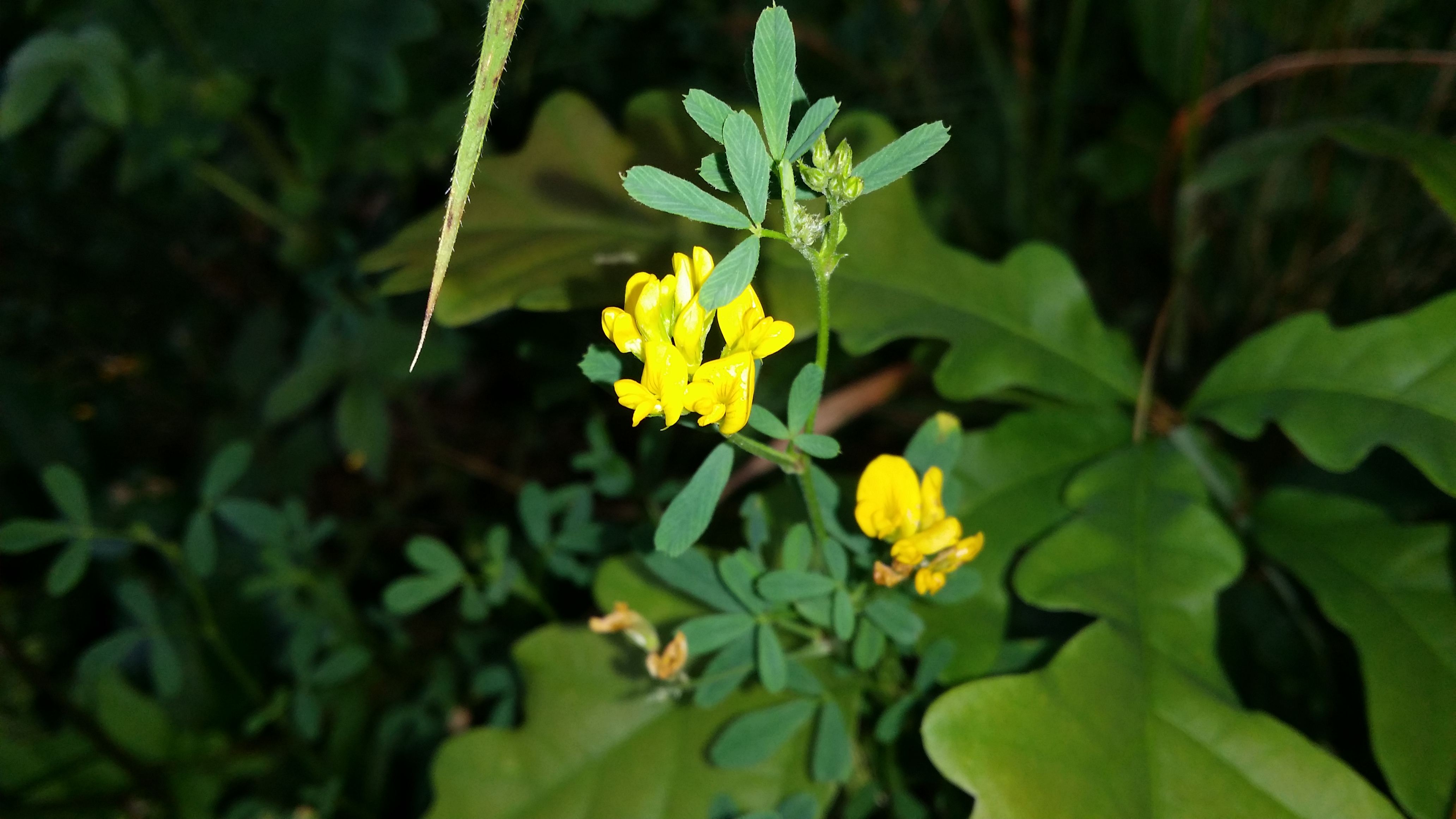 06072016135623 2837 art 1757 20160703 092740