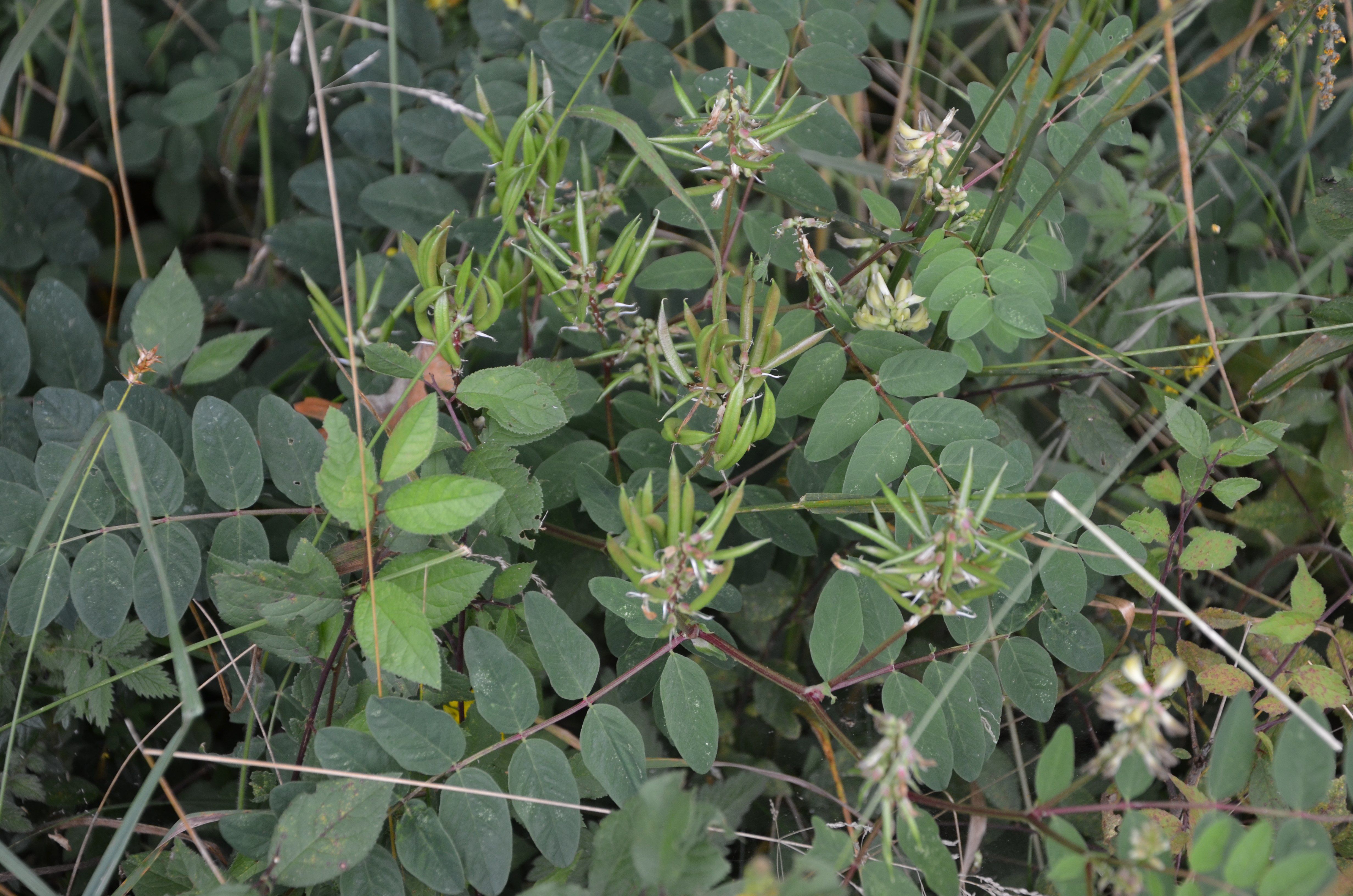 06072016140415 2840 art 1566 dsc 9499