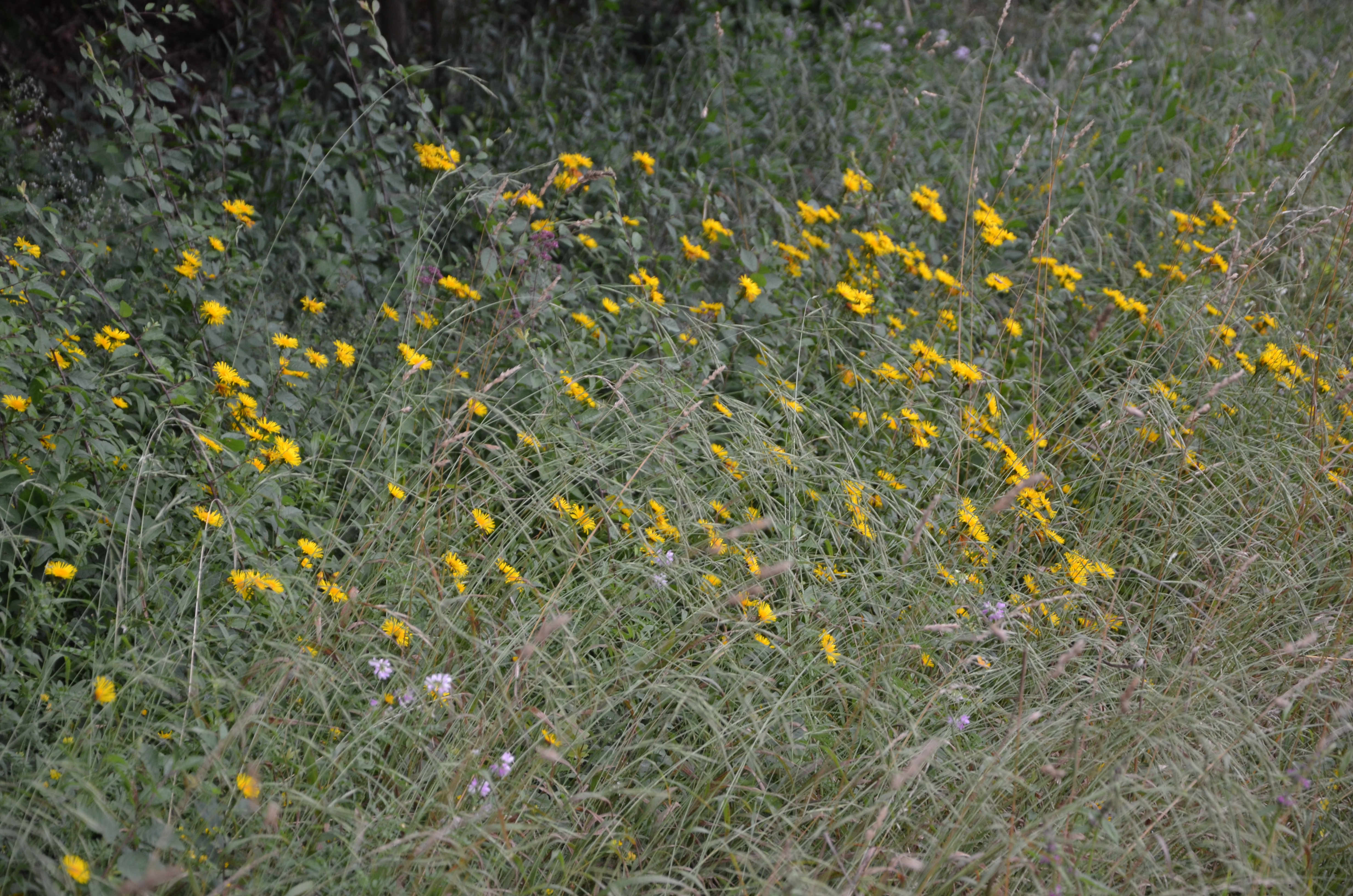 06072016141539 2842 art 1761 dsc 9501