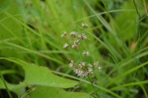 06072016144840 2845 art 1105 dsc 9524