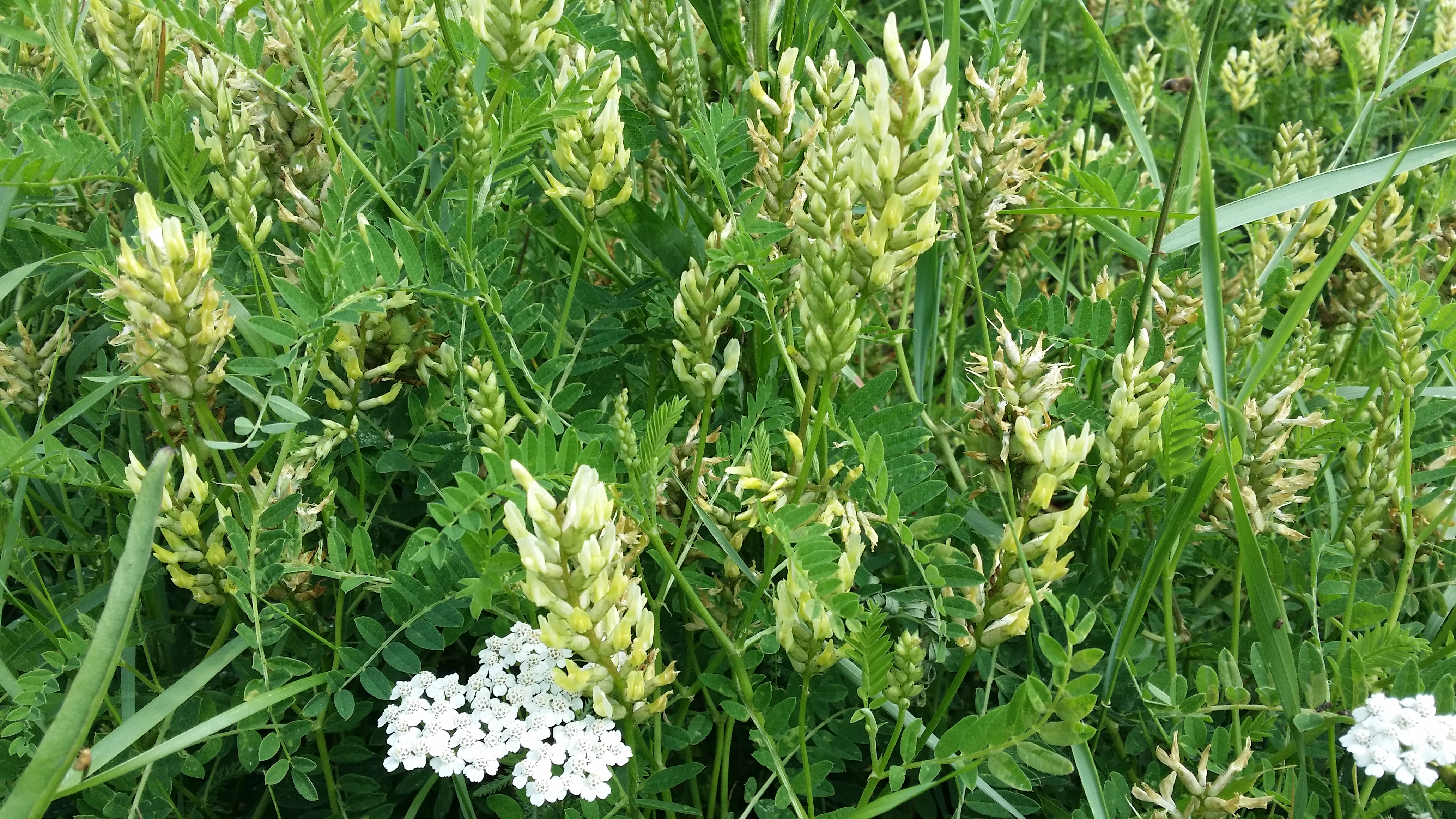 06072016150738 2847 art 1764 20160626 100408