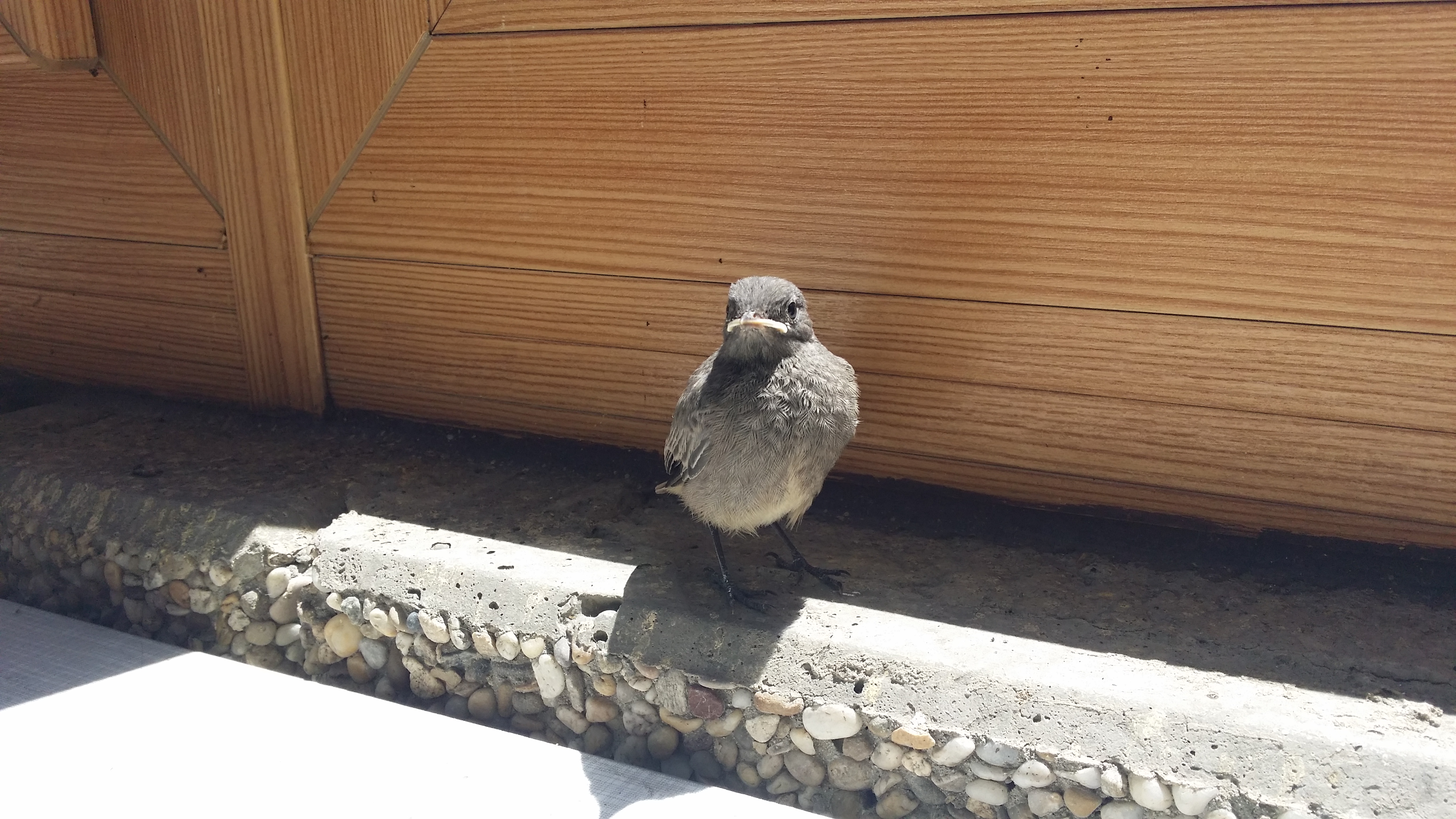 06072016154935 2849 art 1512 20160630 131105