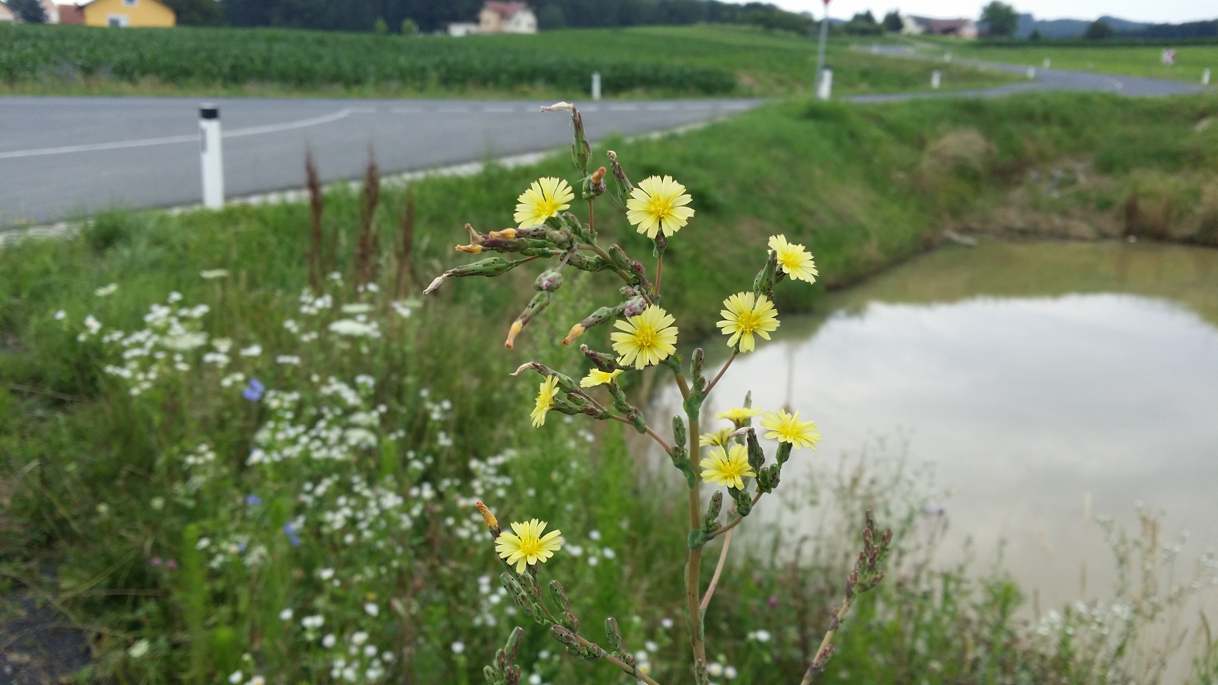 06072016160047 2850 art 1766 20160701 095814