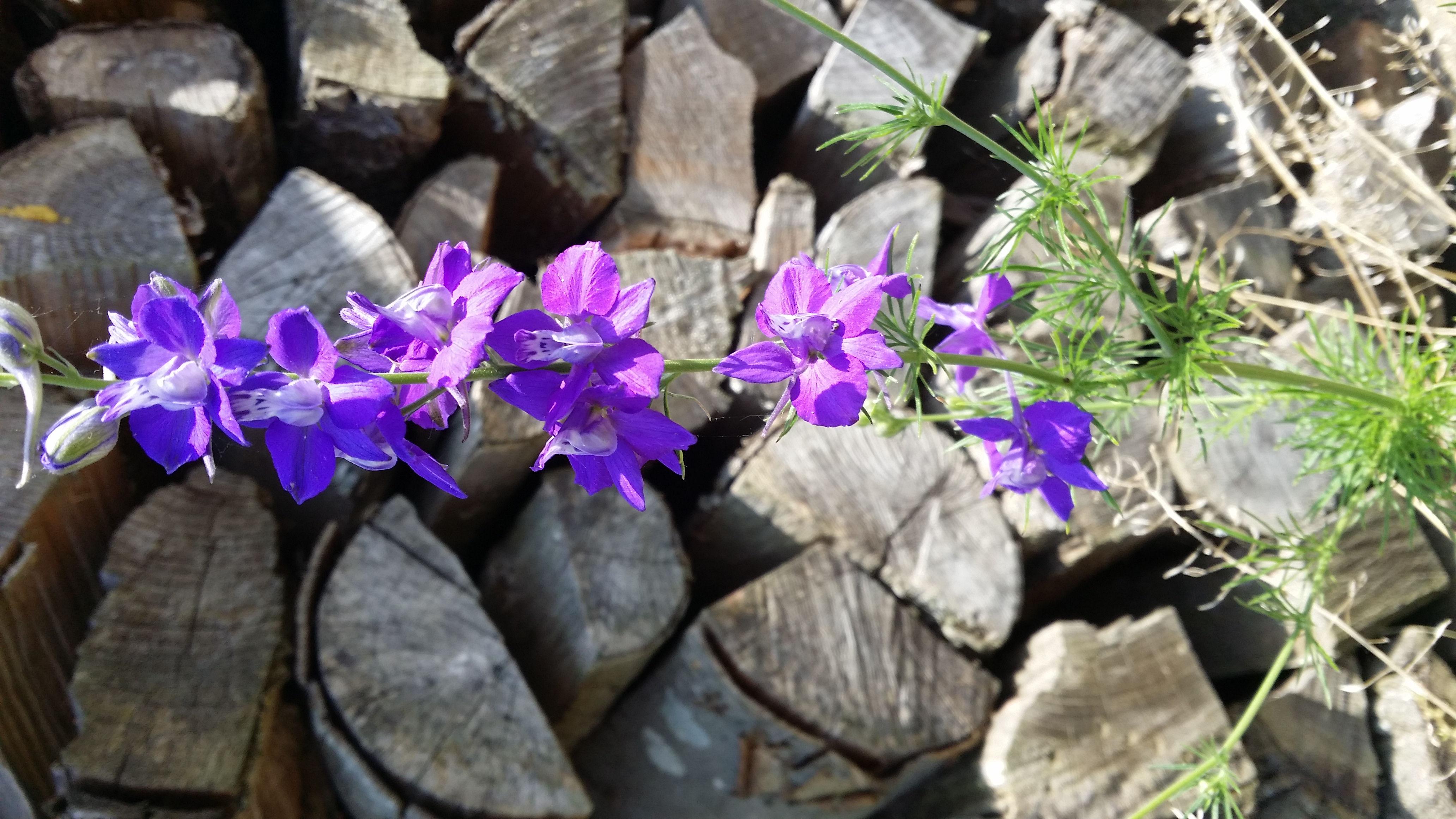 06072016164151 2853 art 1768 20160623 140605