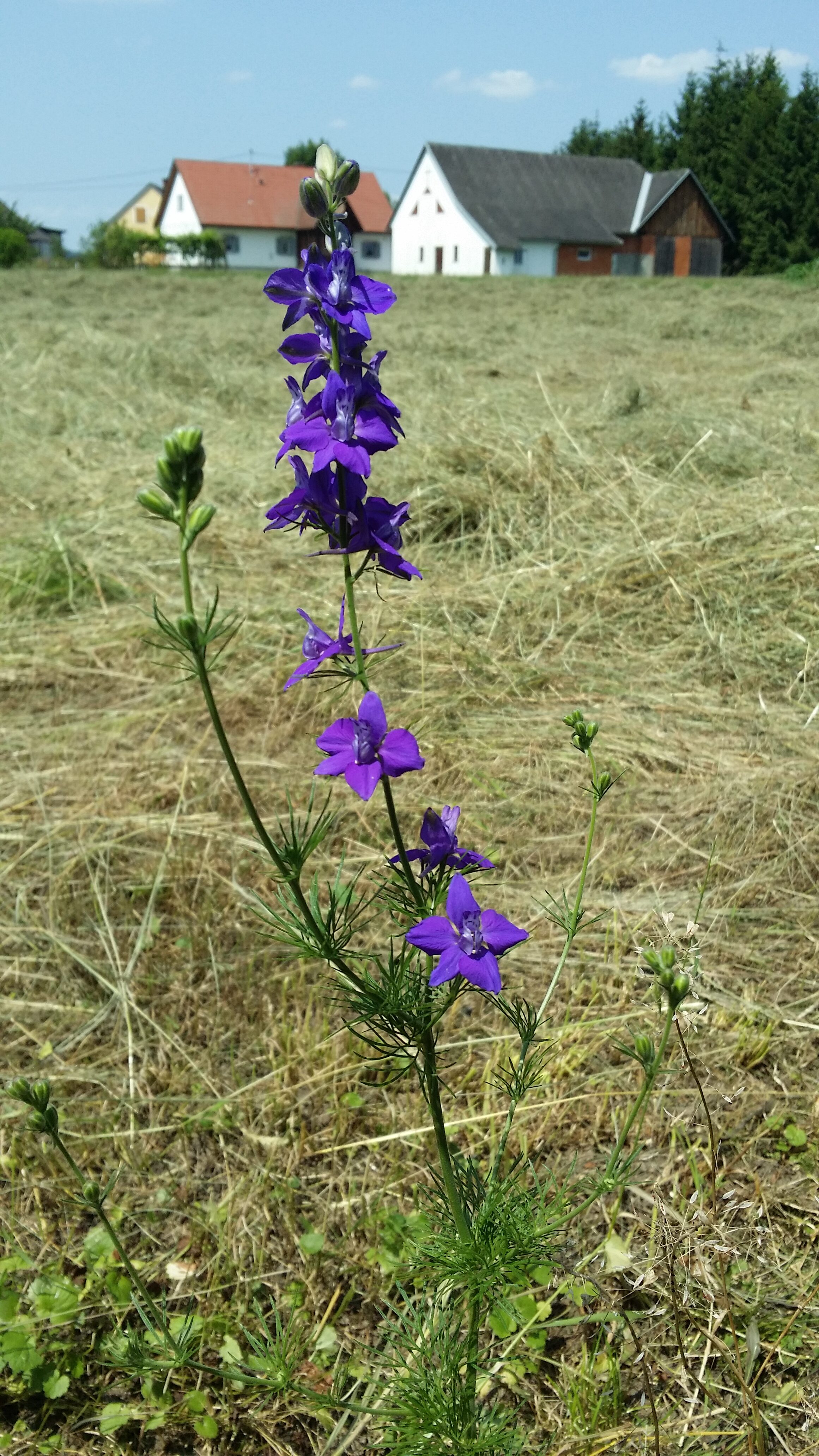 06072016164305 2854 art 1768 20160623 140619