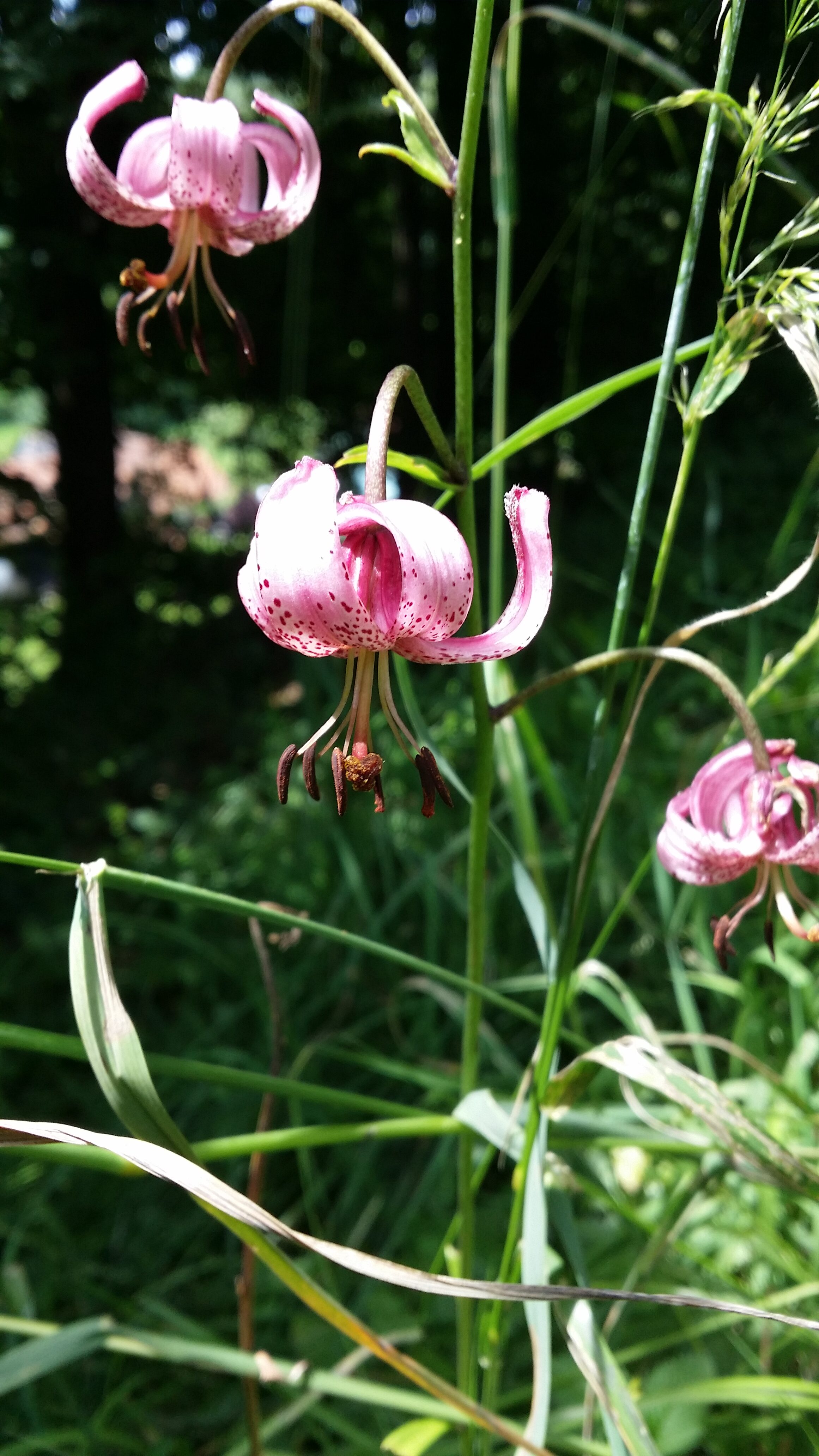 06072016194808 2863 art 1565 20160616 112317