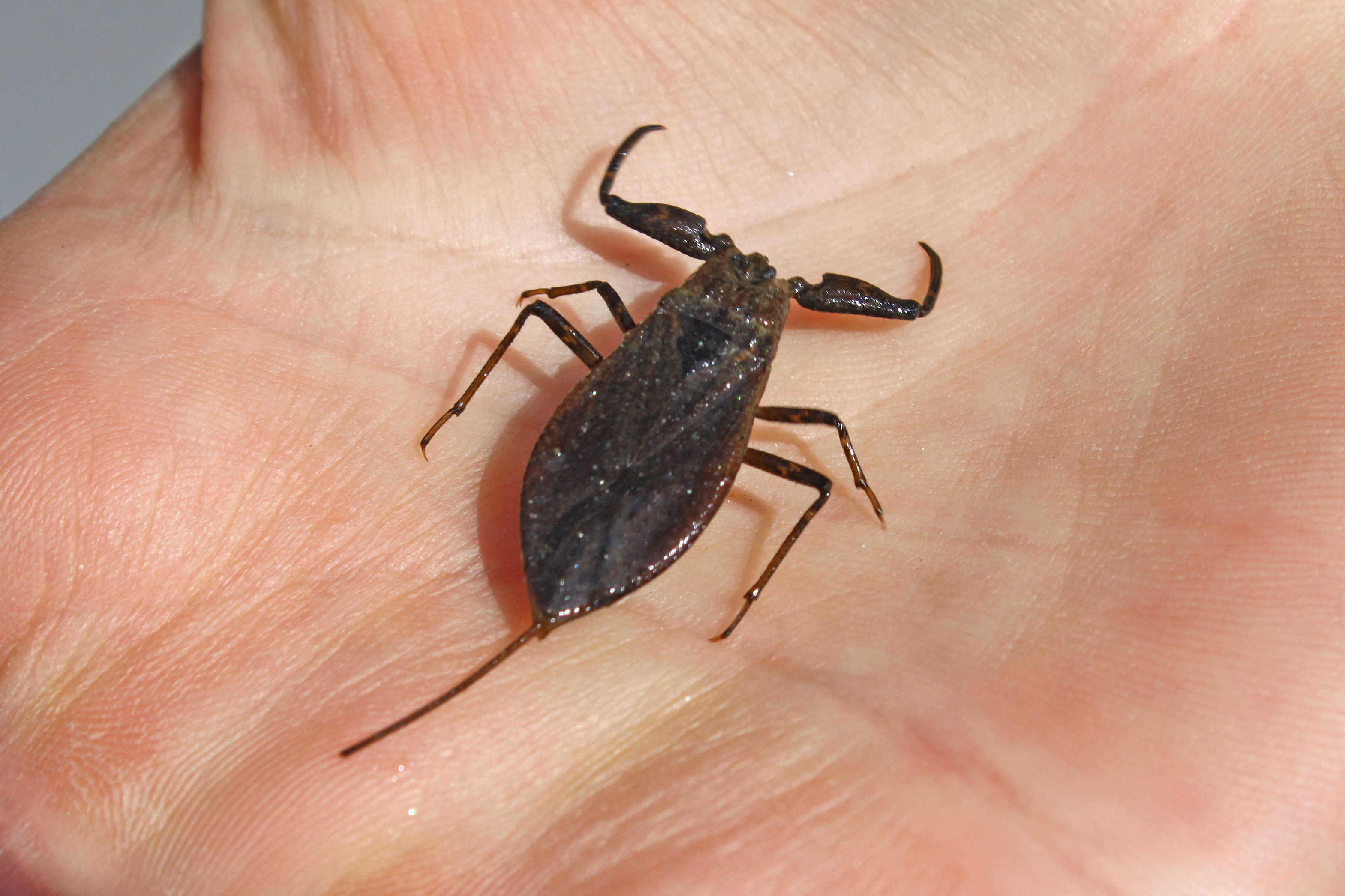 06092013073824 2004 art 1381 0 143