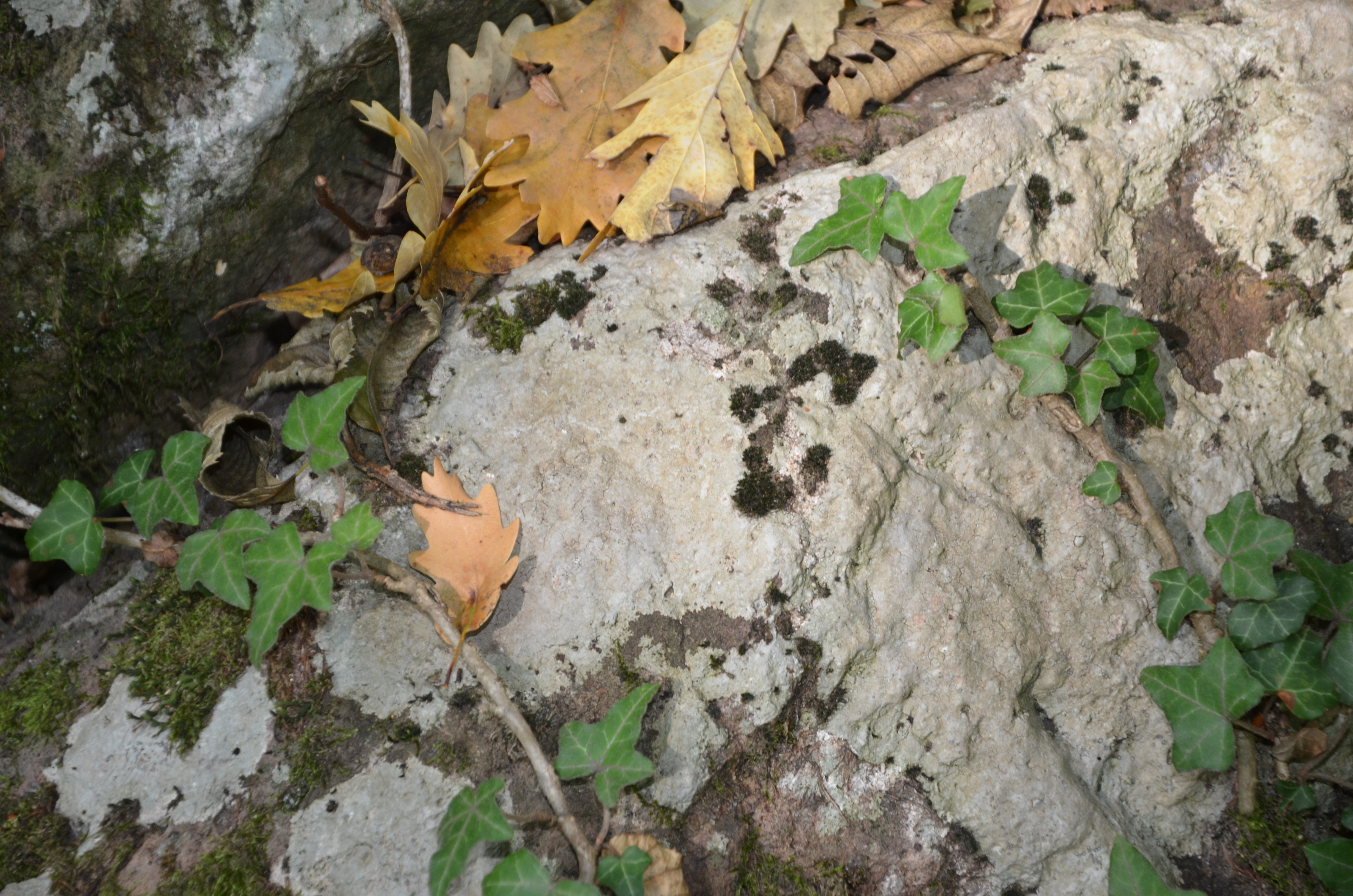 06092013111811 2007 art 1384 dsc 9121