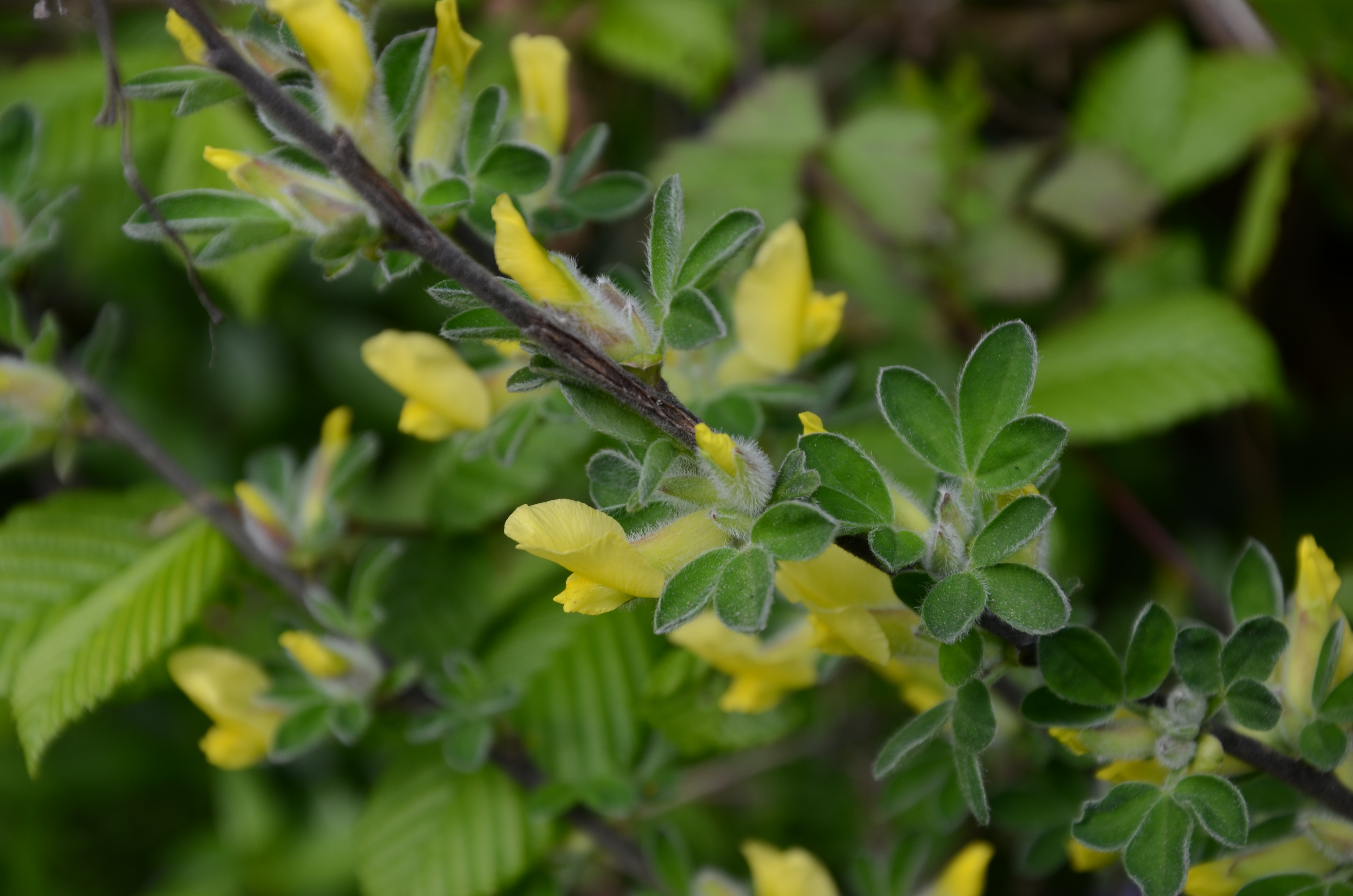 07042014093559 2274 art 1445 dsc 3059