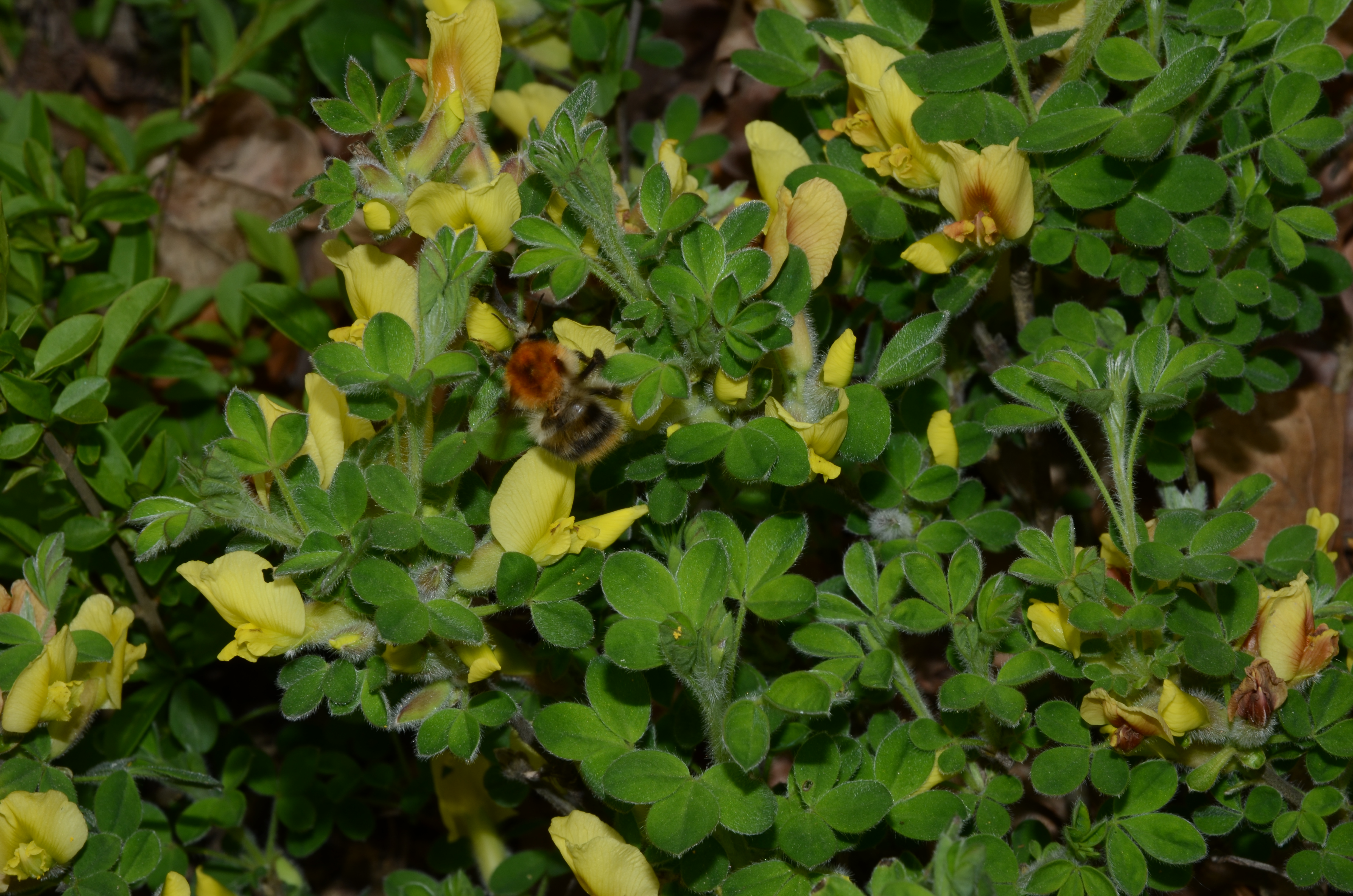 07042014093847 2275 art 1445 dsc 3093