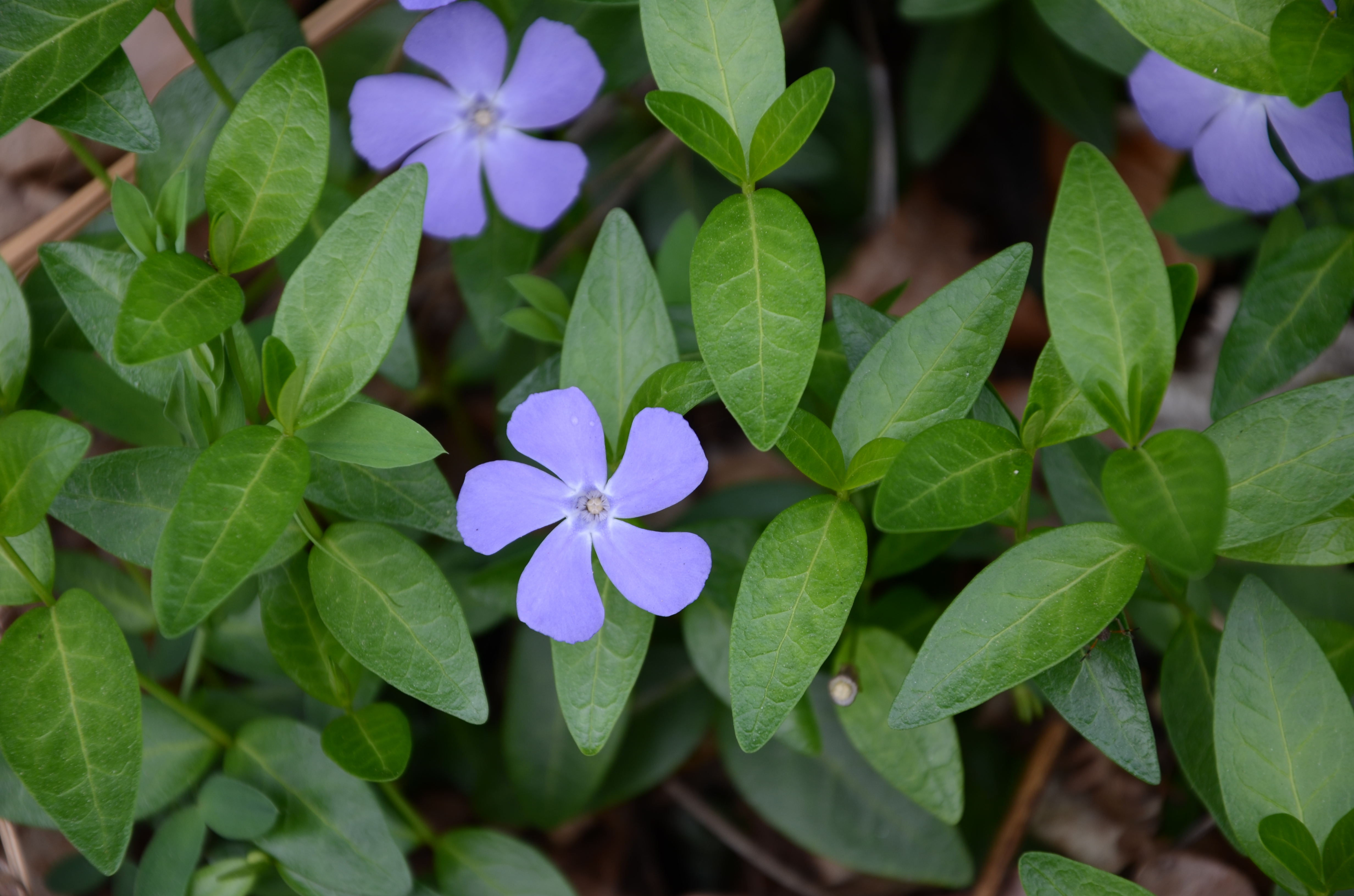 07042014094111 2276 art 1425 dsc 3062