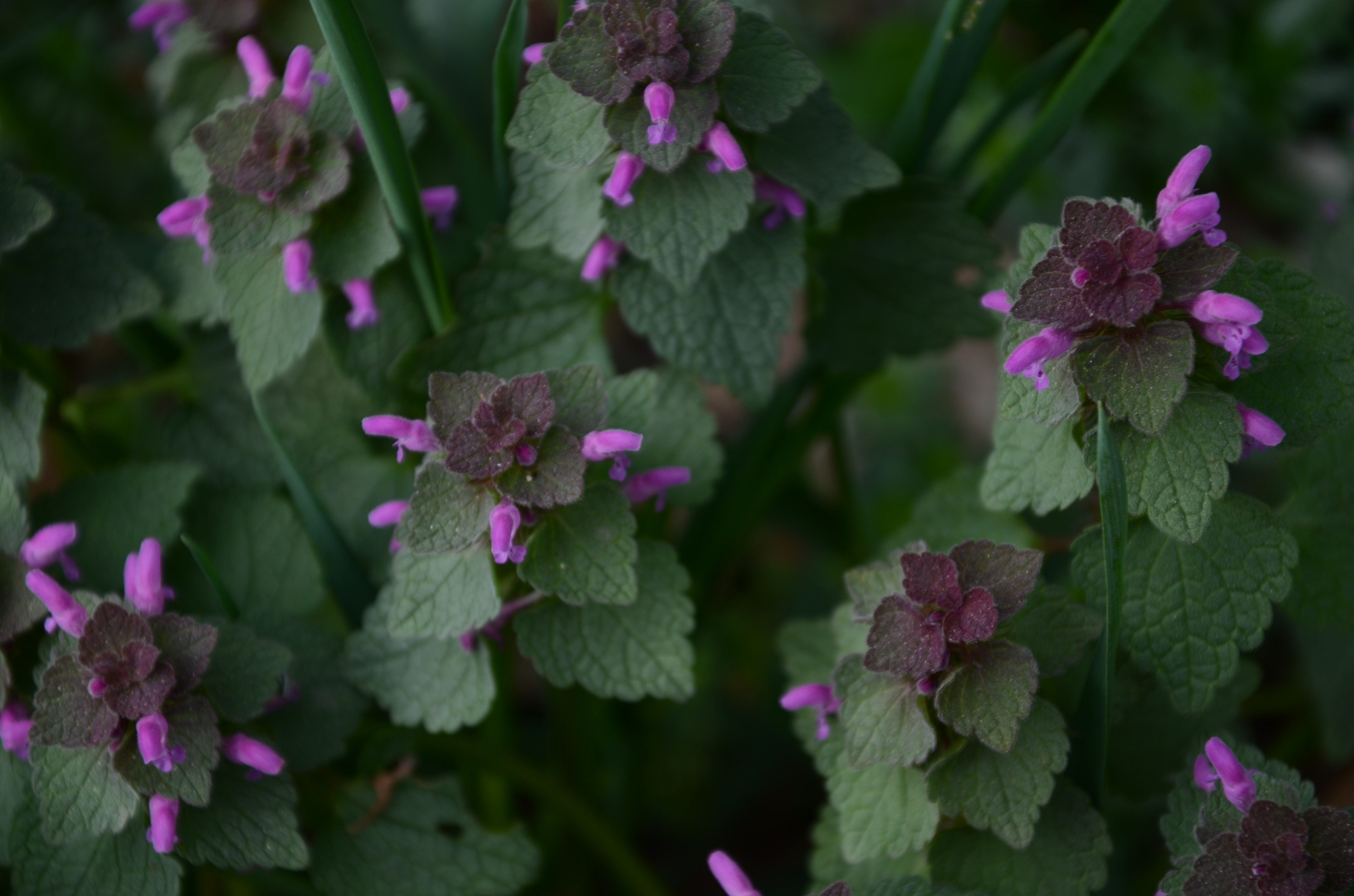 07042014095246 2277 art 1446 dsc 3063