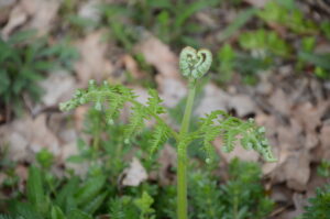 07042014102933 2282 art 1121 dsc 3071