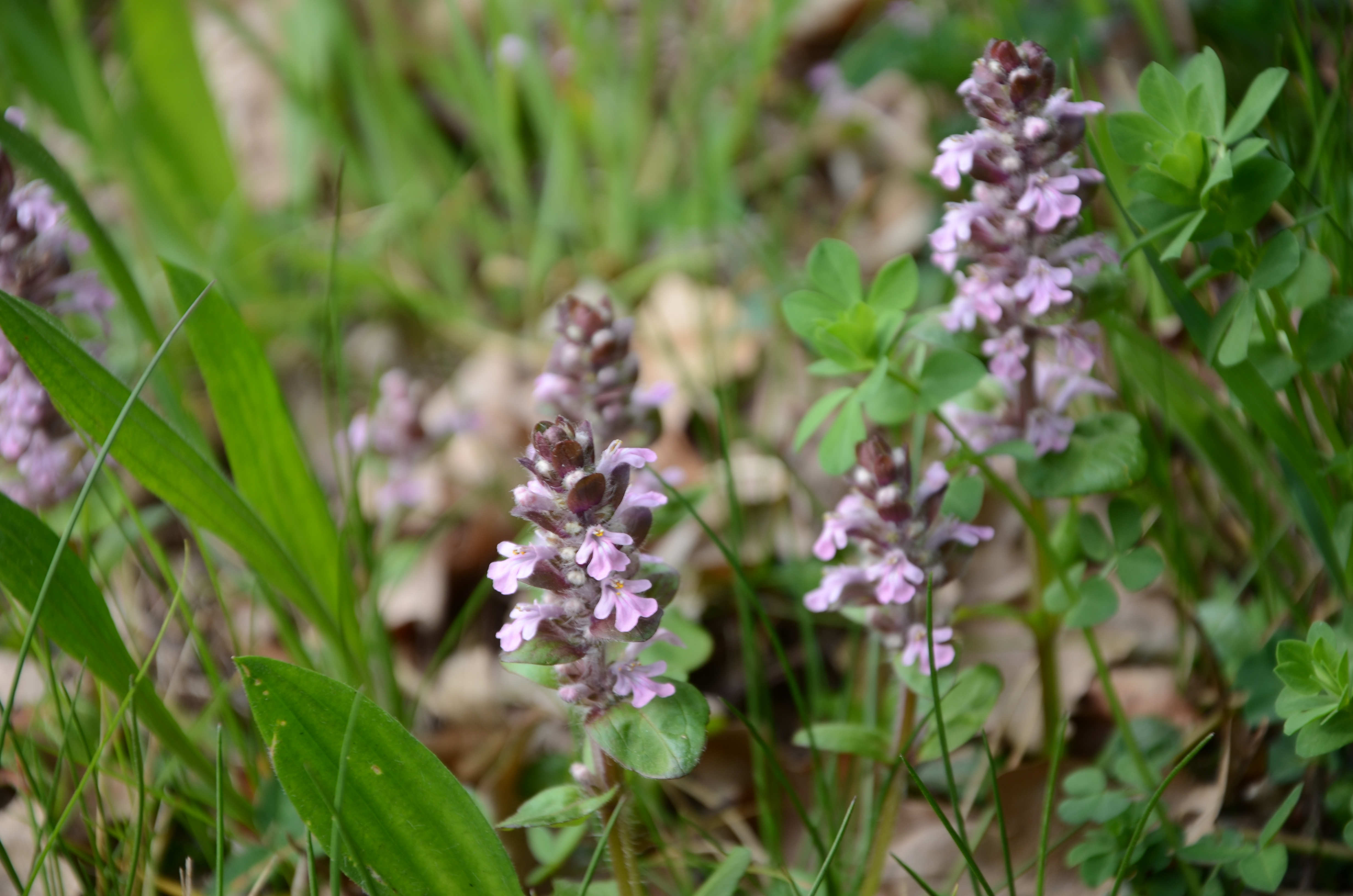 07042014105024 2283 art 1449 dsc 3073