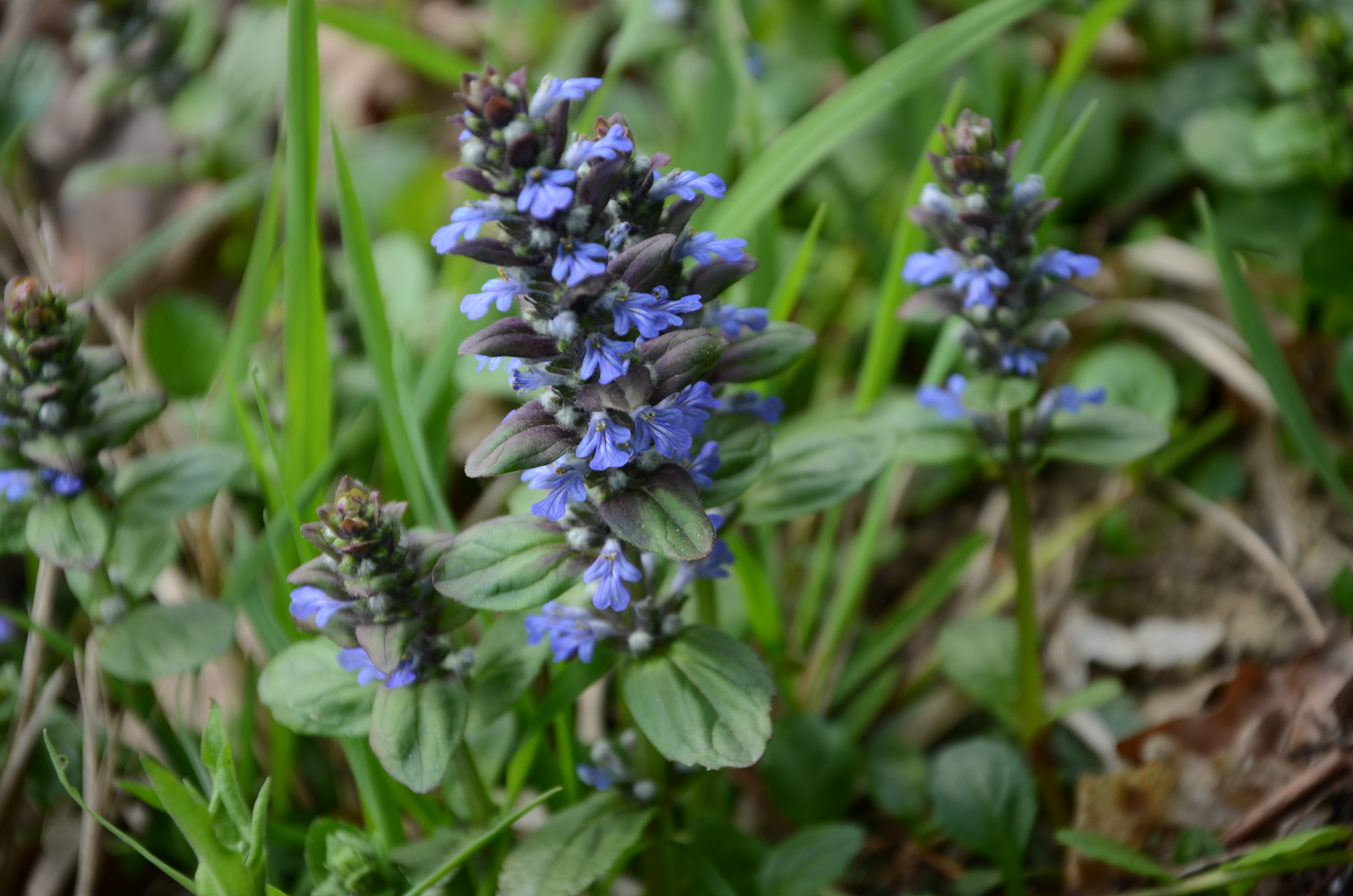 07042014105208 2284 art 1449 dsc 3075