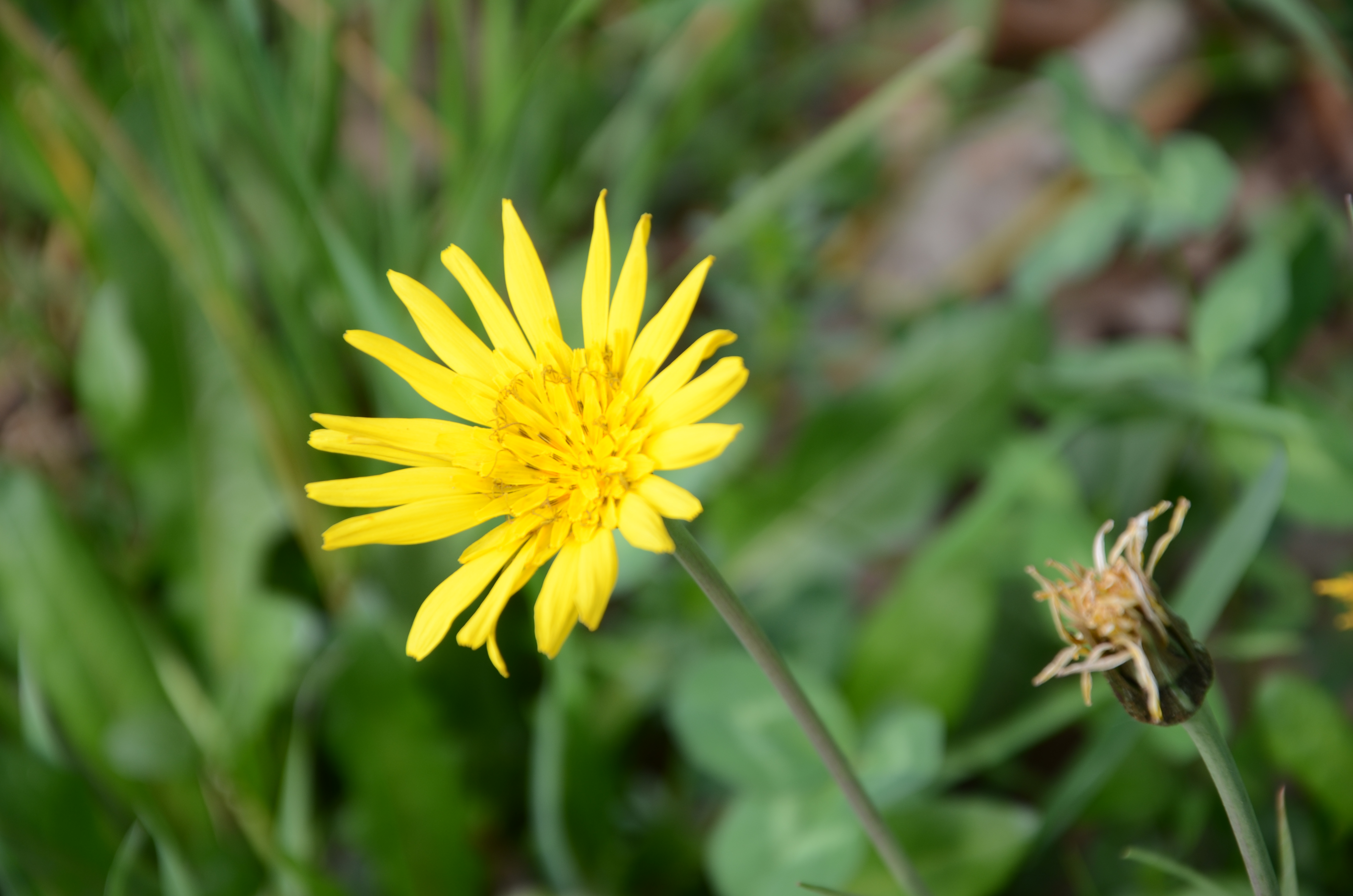 07042014111048 2286 art 1274 dsc 3078