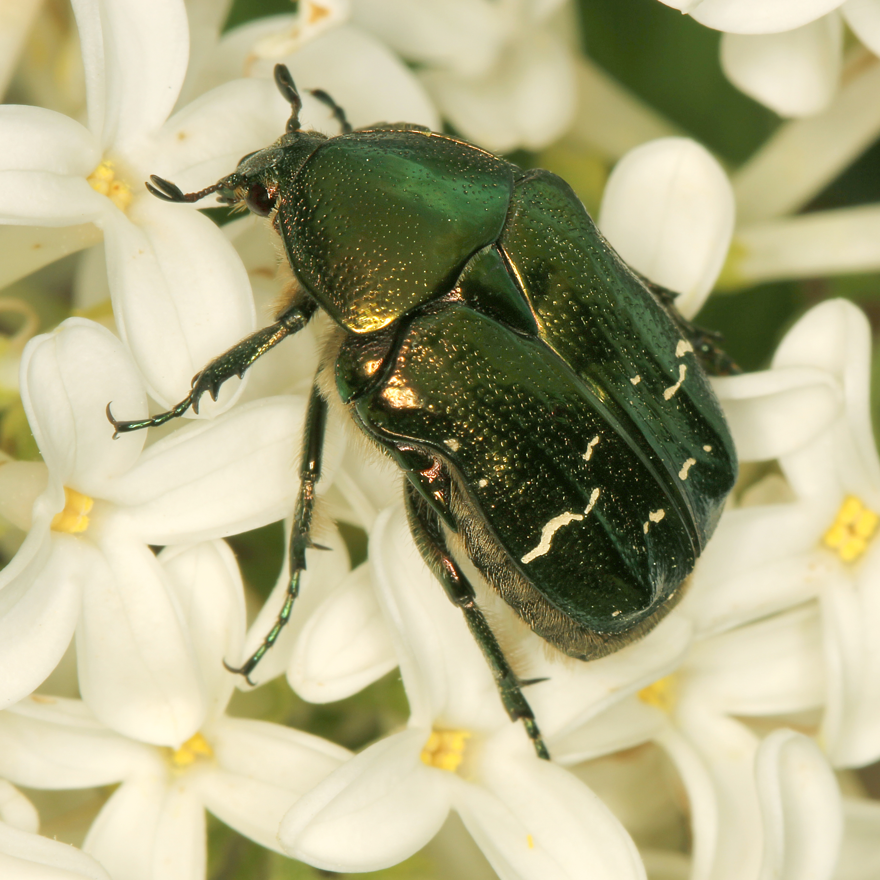 07052013175432 276 art 309 img 2216 1