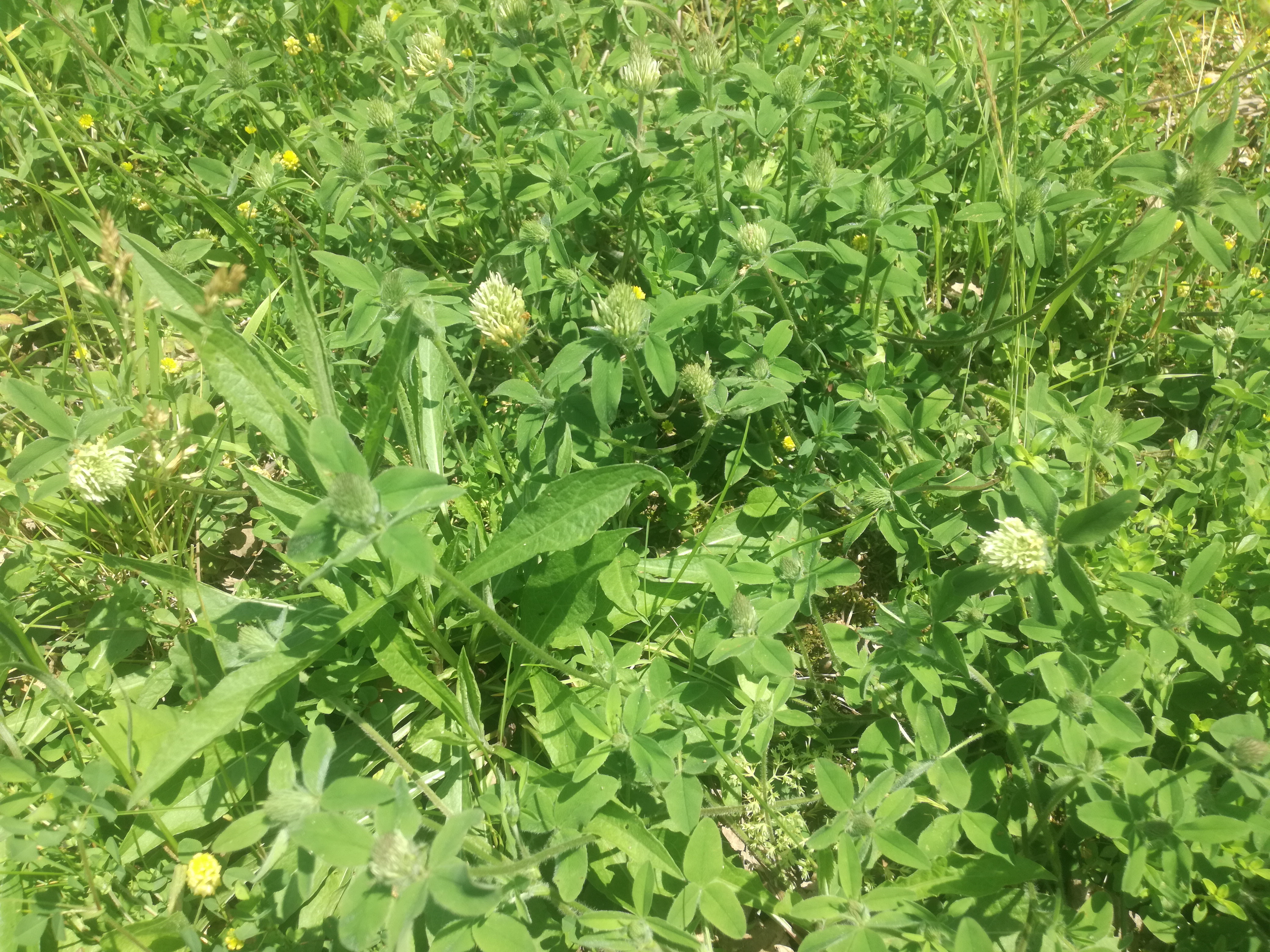 07062018130155 3717 art 1755 img 20180606 120324