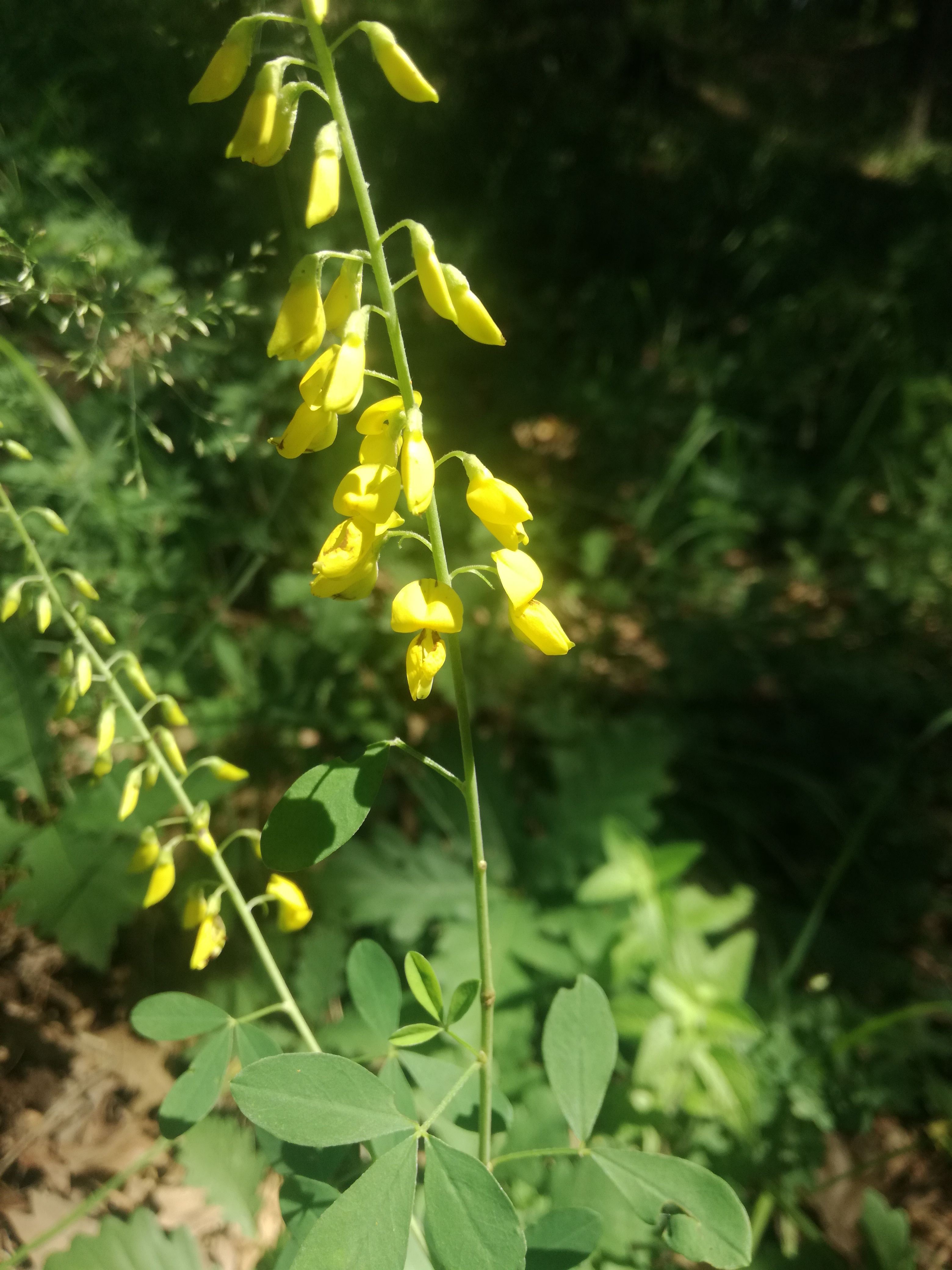 07062018132205 3719 art 1258 img 20180606 120825