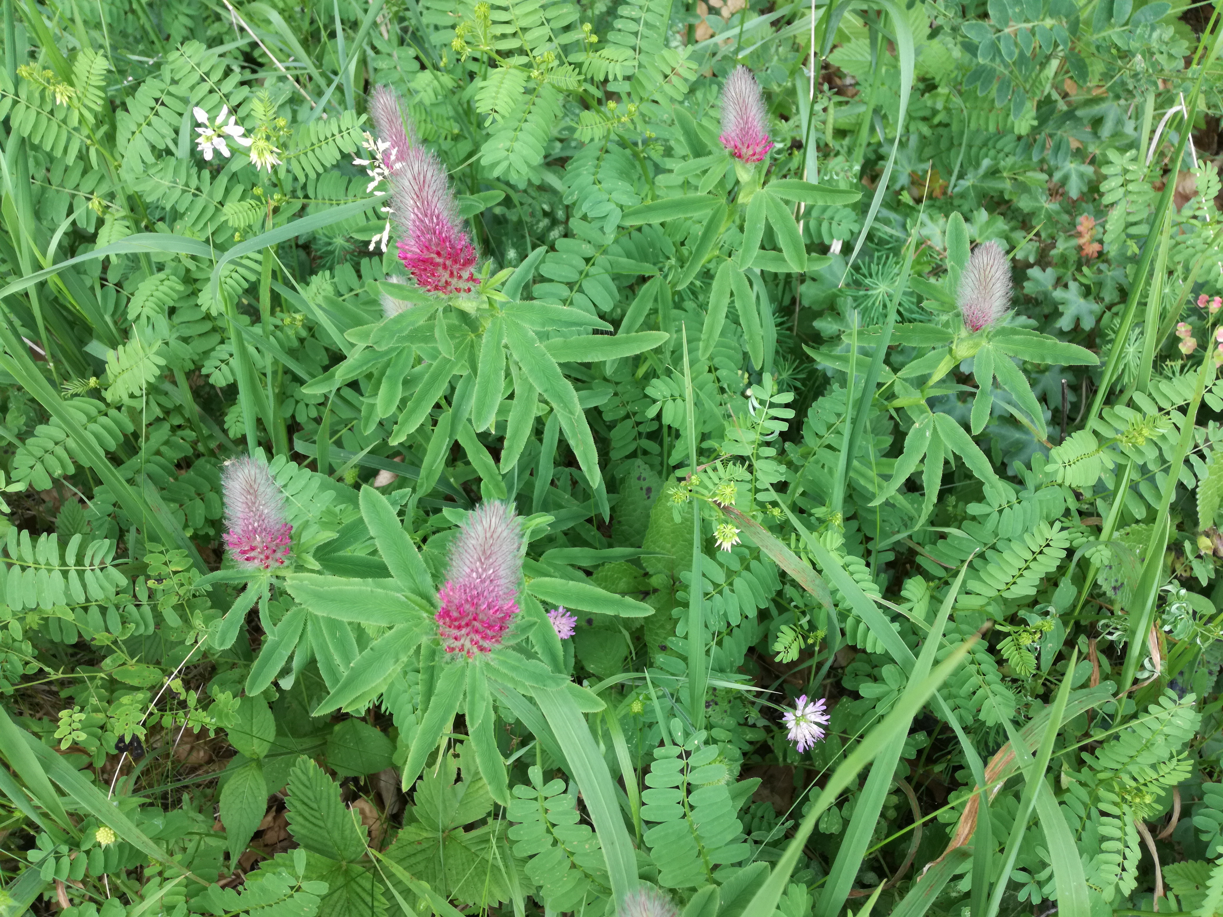 07062018200535 3721 art 2236 img 20180607 152042