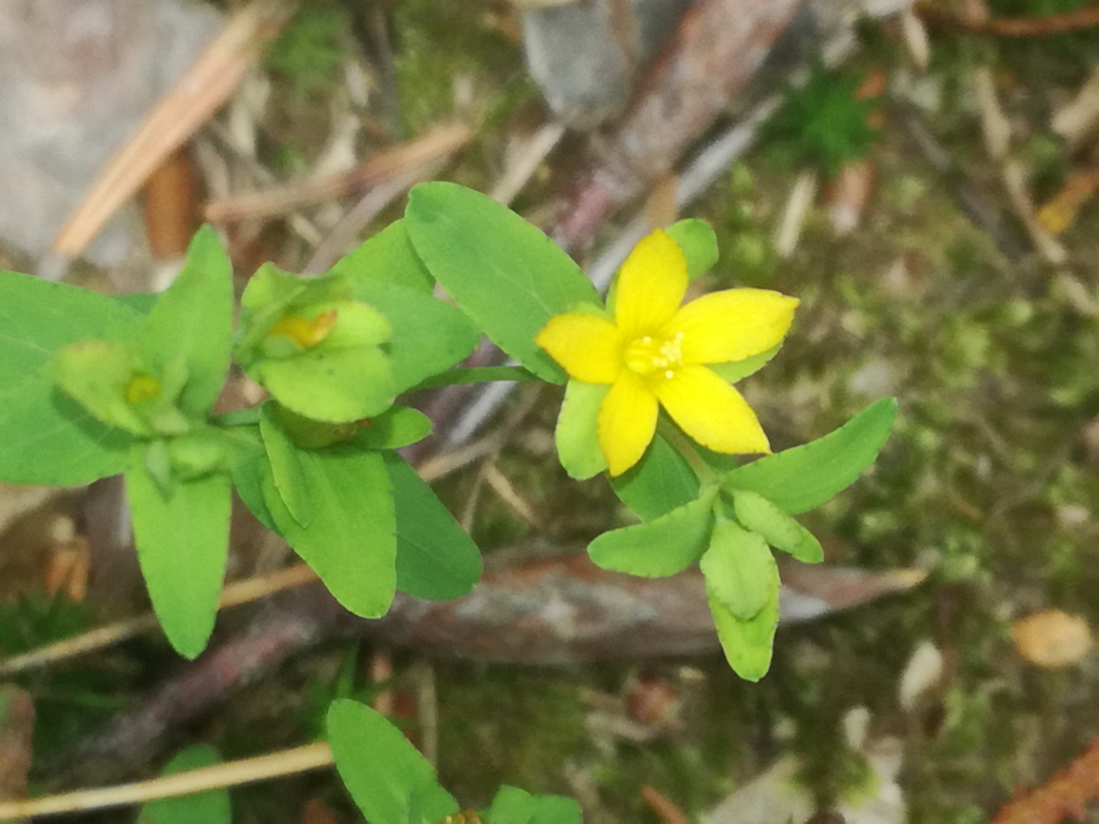 07062018201907 3722 art 2237 img 20180607 160204