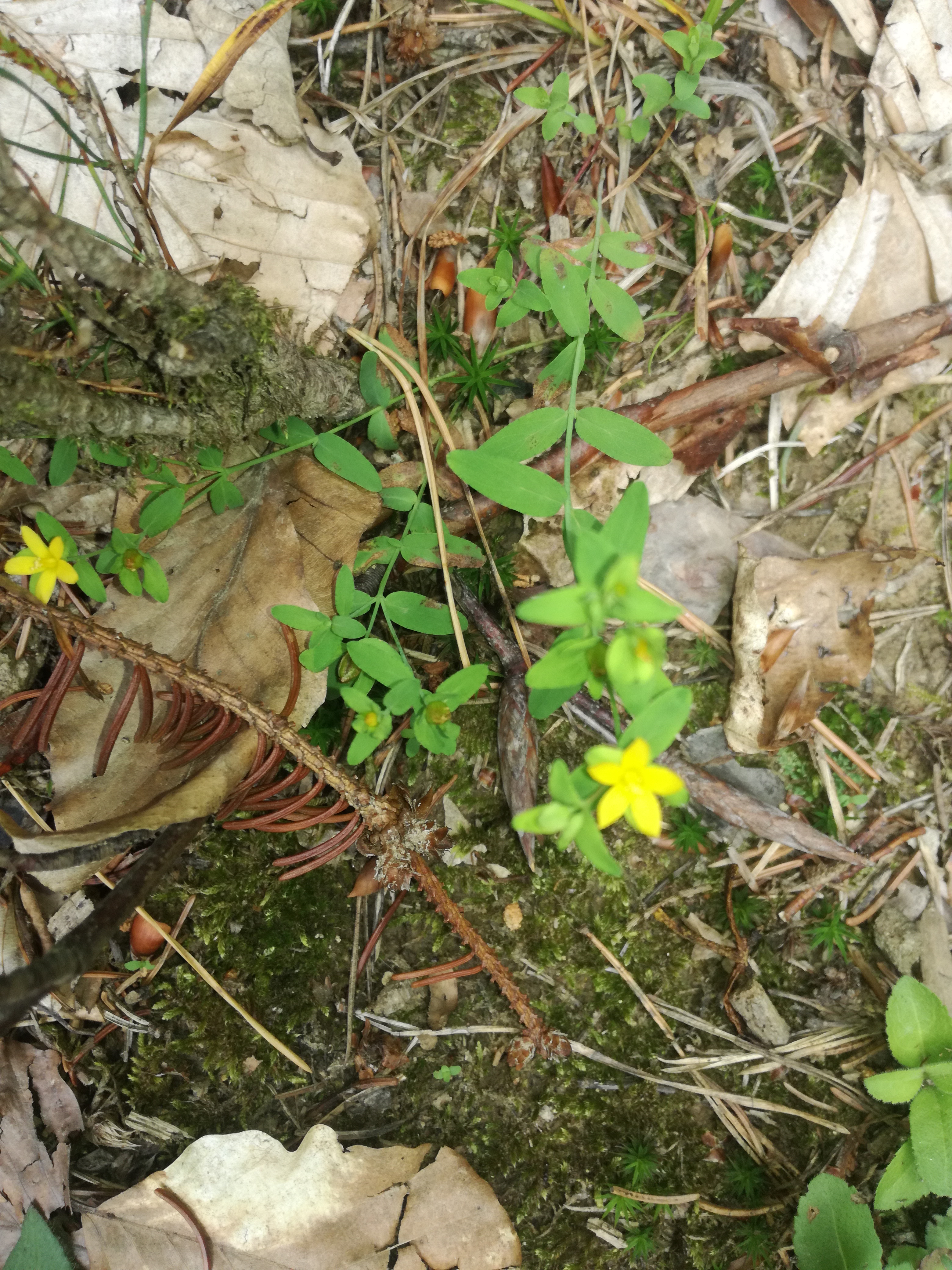 07062018202006 3723 art 2237 img 20180607 160135