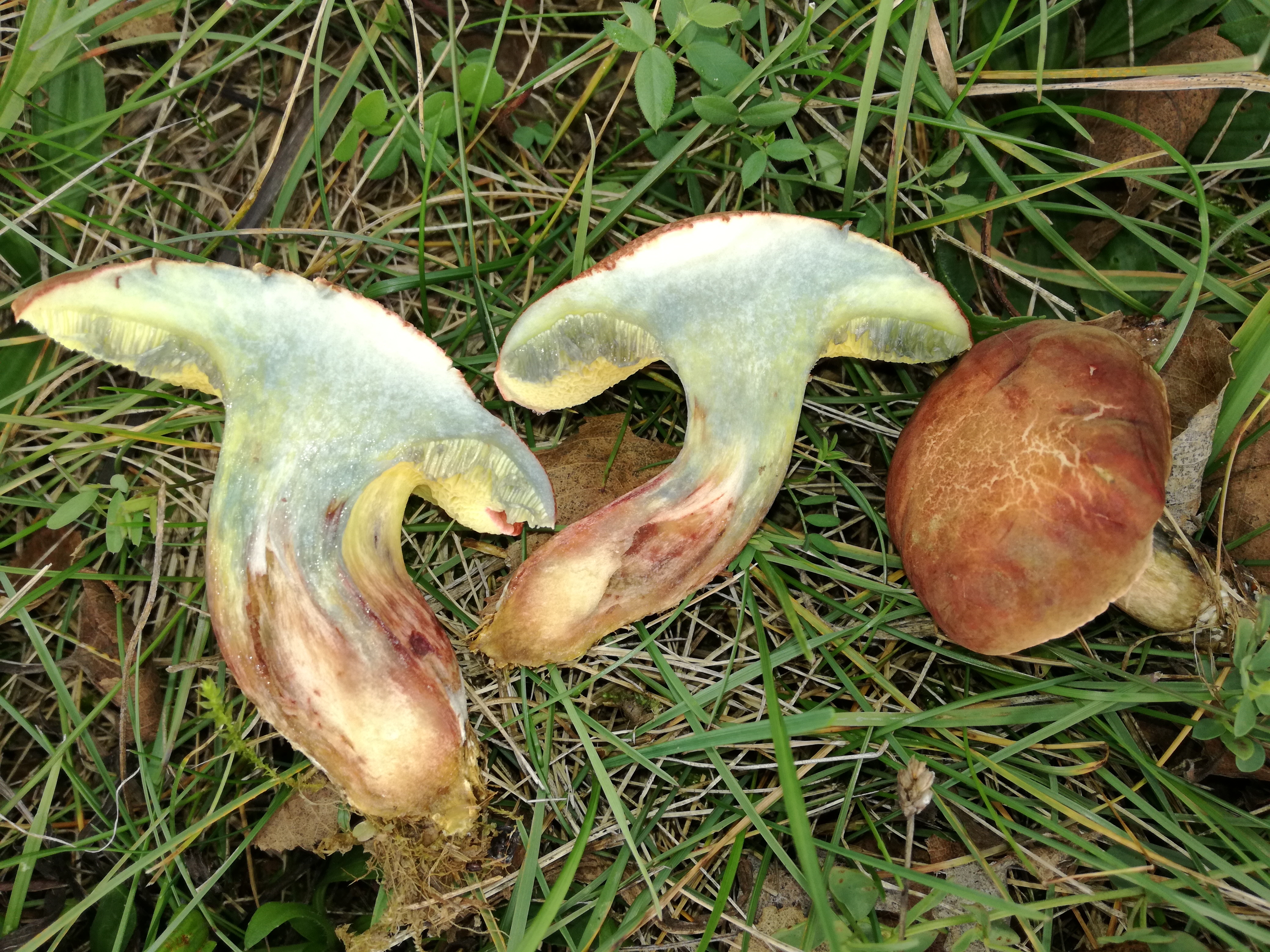 07112017163556 3298 art 734 img 20161030 123333