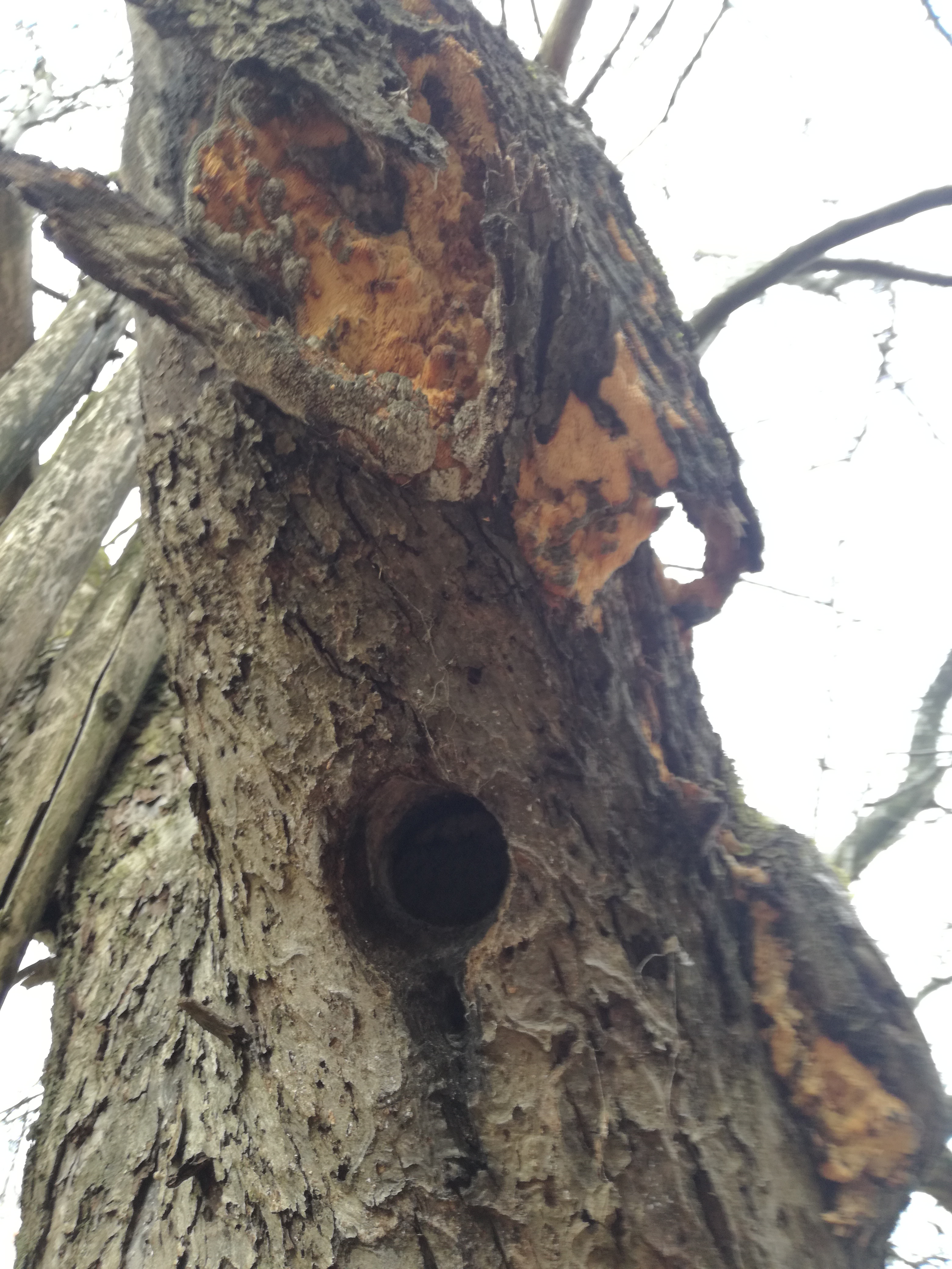 08012018193210 3373 art 1997 img 20180107 105620