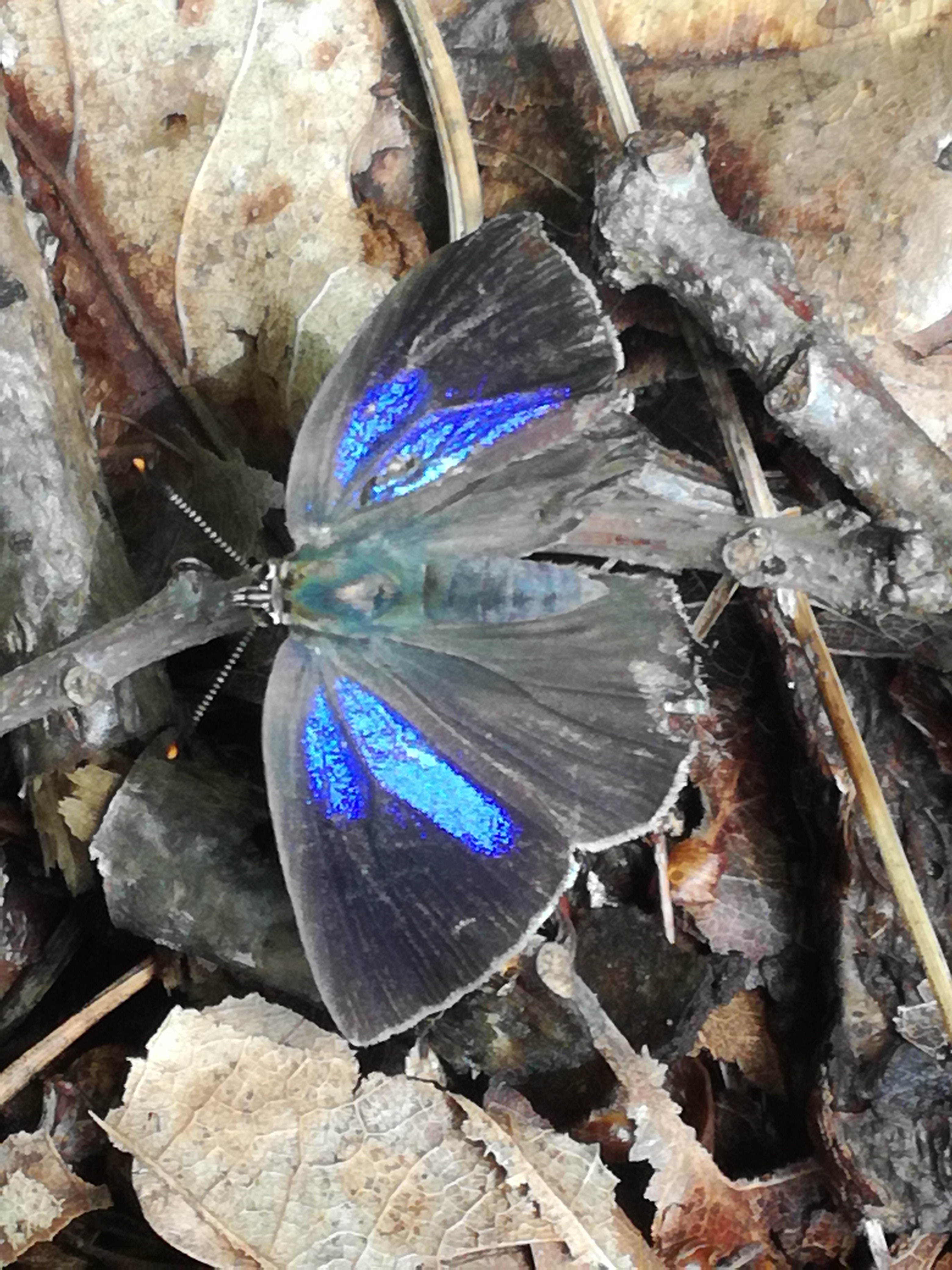 08062018210515 3736 art 2245 img 20180608 112857