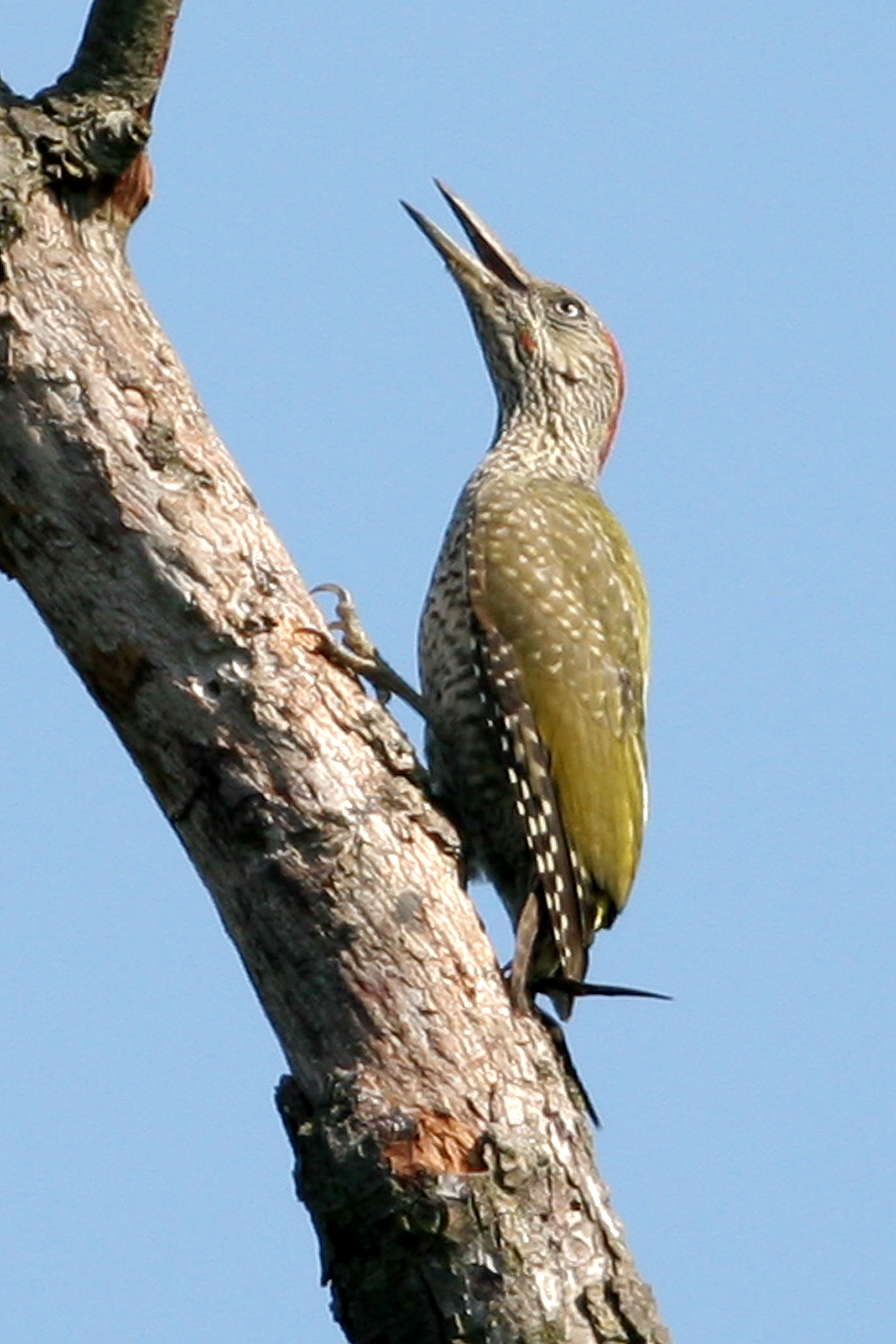 08092013150742 2028 art 755 img 0407