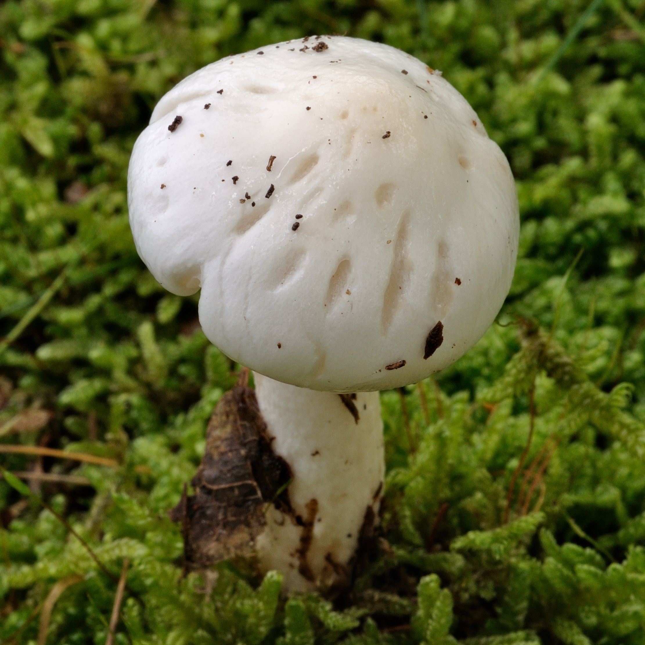 09052018213854 3573 art 2145 2009 09 19 herbersteinklamm 080