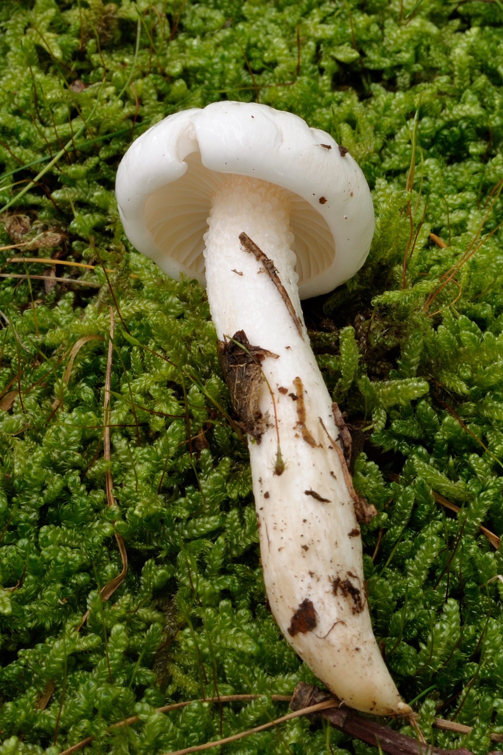 09052018213944 3574 art 2145 2009 09 19 herbersteinklamm 081