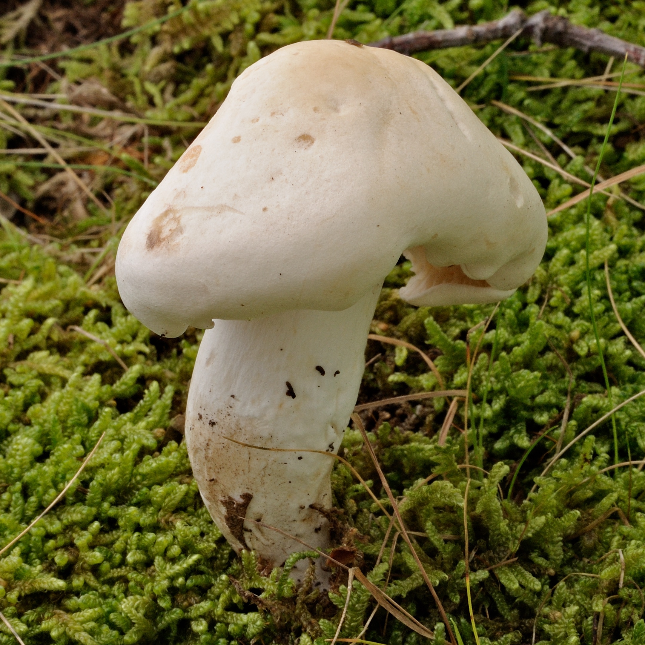 09052018214737 3575 art 2146 2009 09 19 herbersteinklamm 077