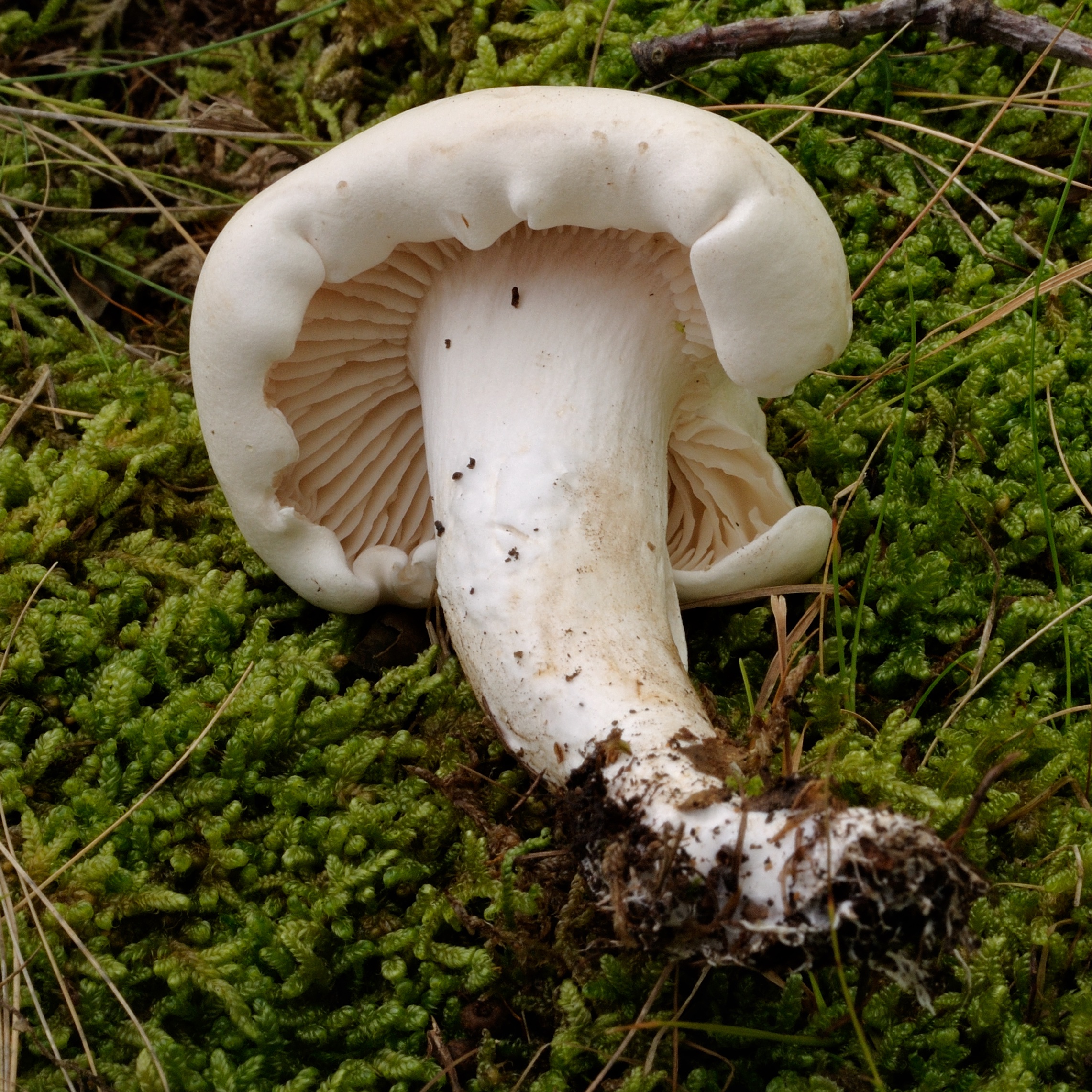 09052018214822 3576 art 2146 2009 09 19 herbersteinklamm 078