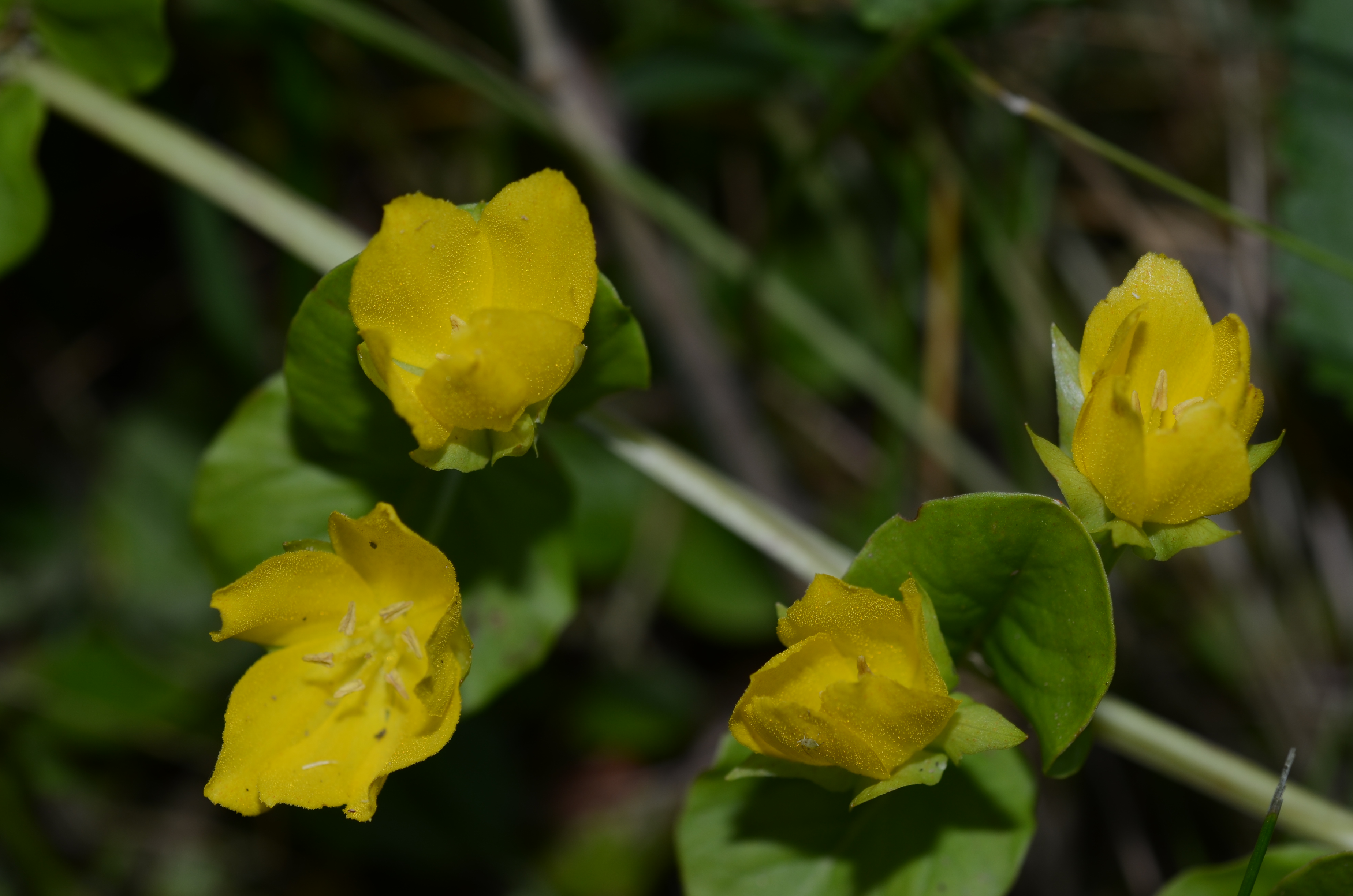 09062014200018 2492 art 1535 dsc 5105