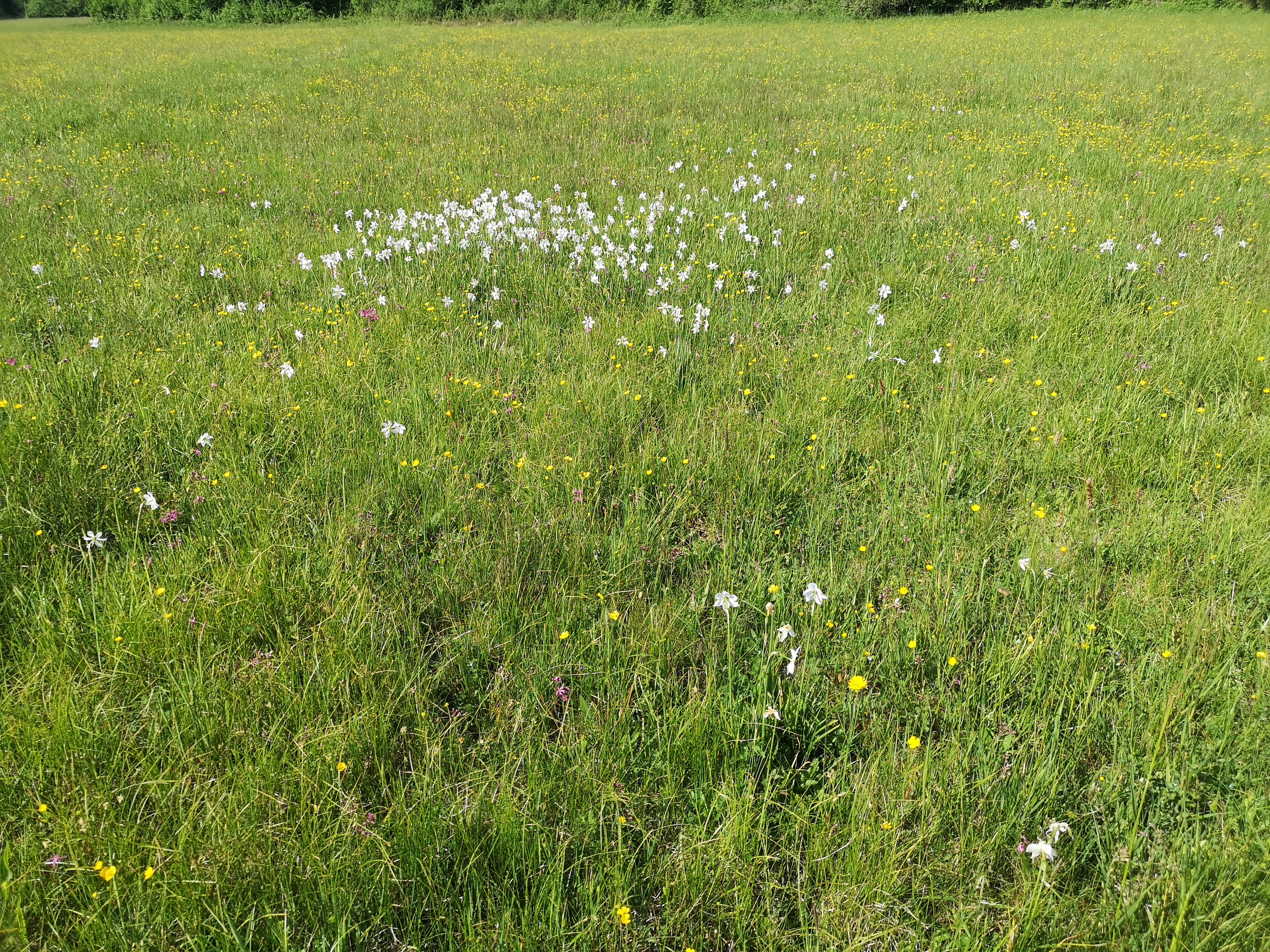 09062022191831 4171 lebensraum 1199 img 20210514 093900