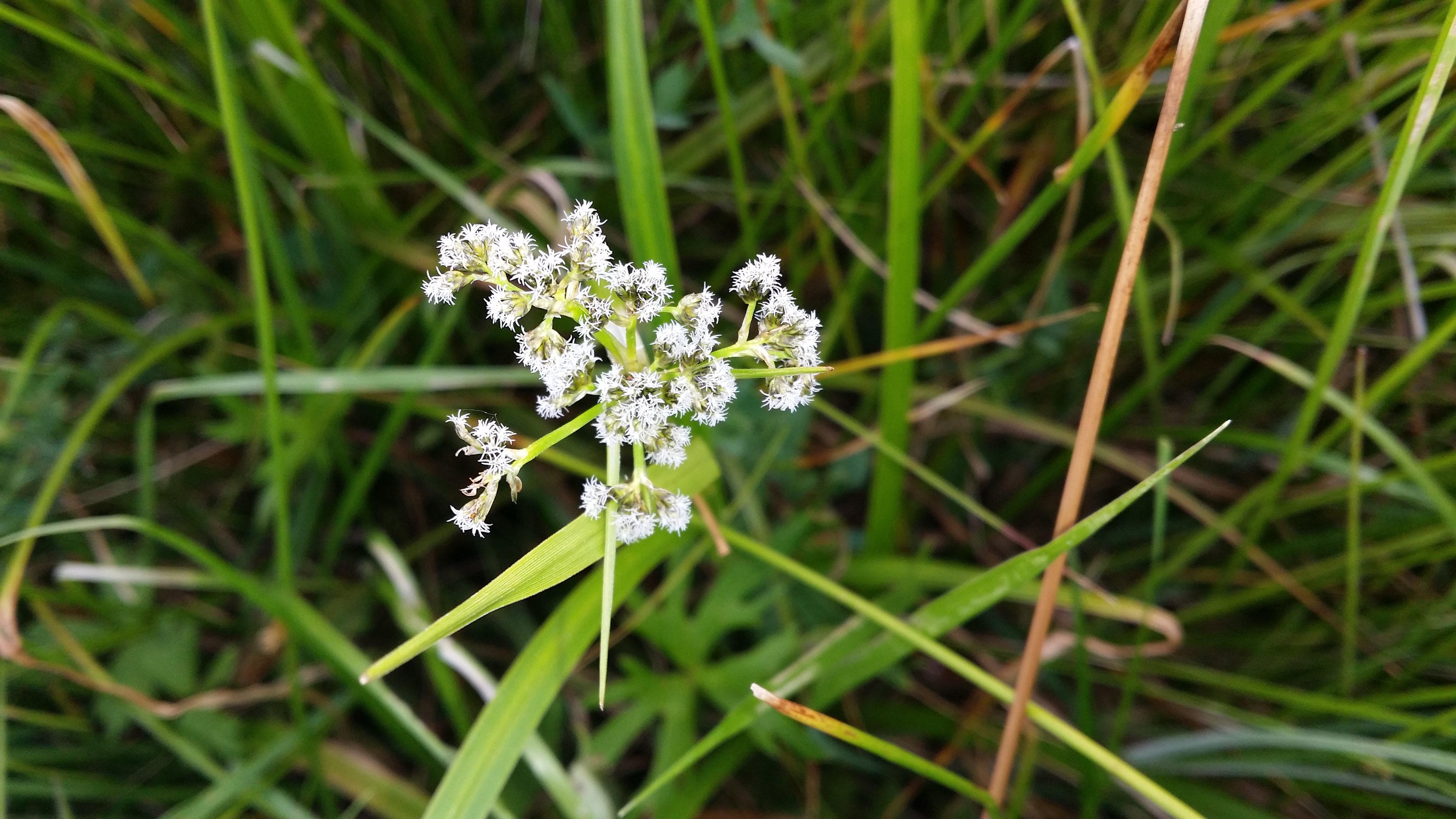 10032018194038 3482 art 2106 20160603 142833