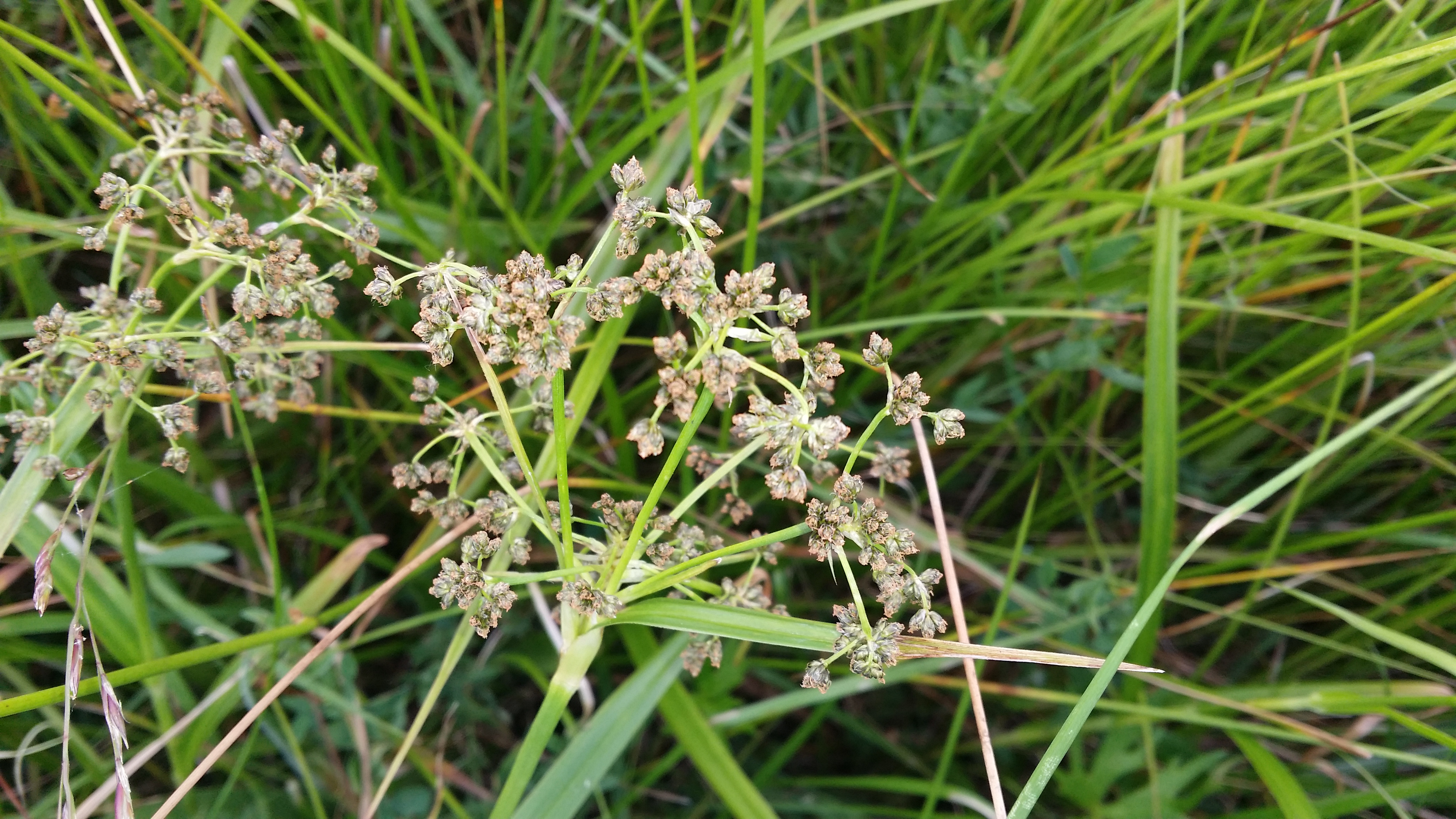 10032018194133 3483 art 2106 20160603 142840