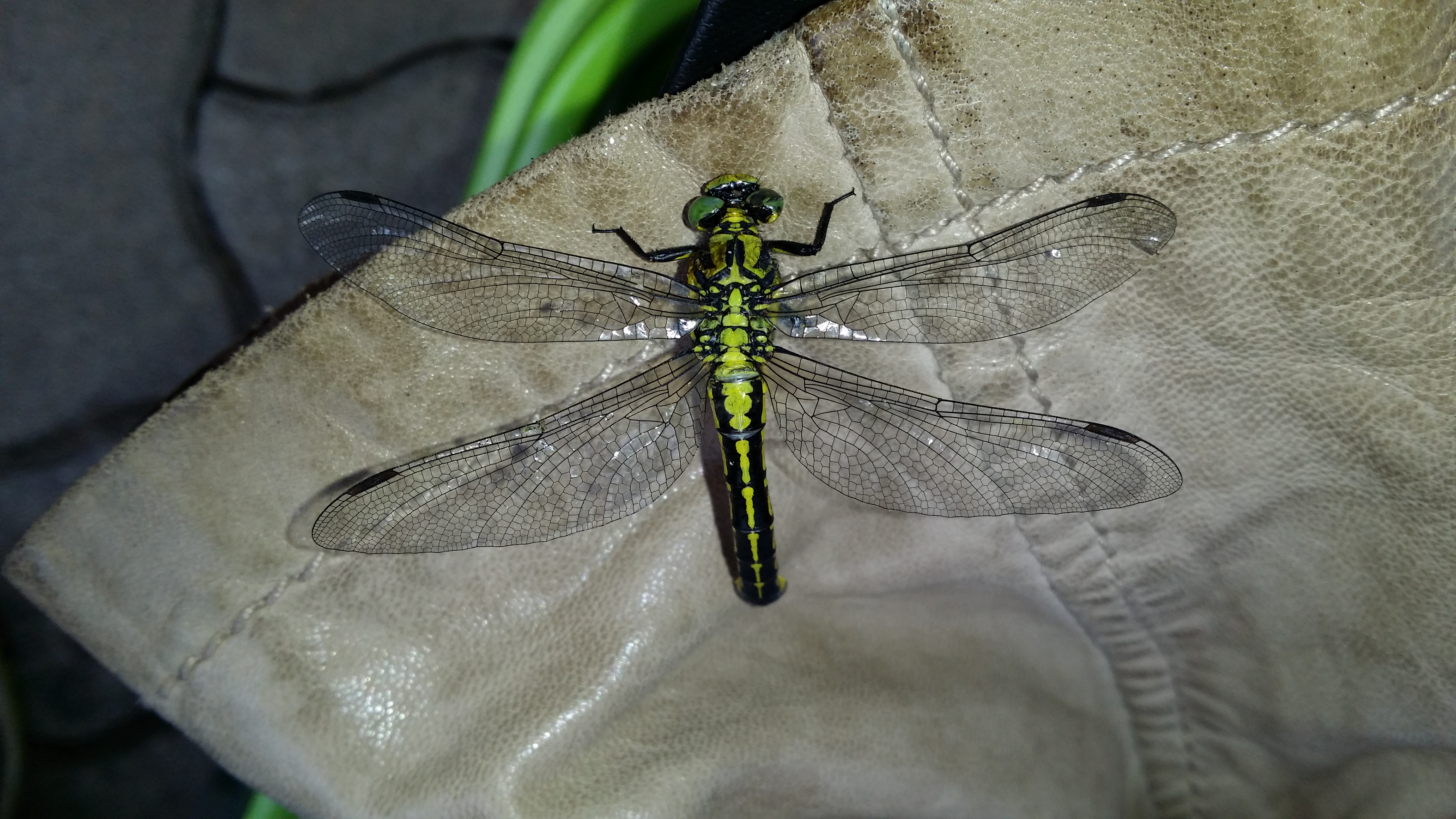 10032018194903 3484 art 951 20160603 163810