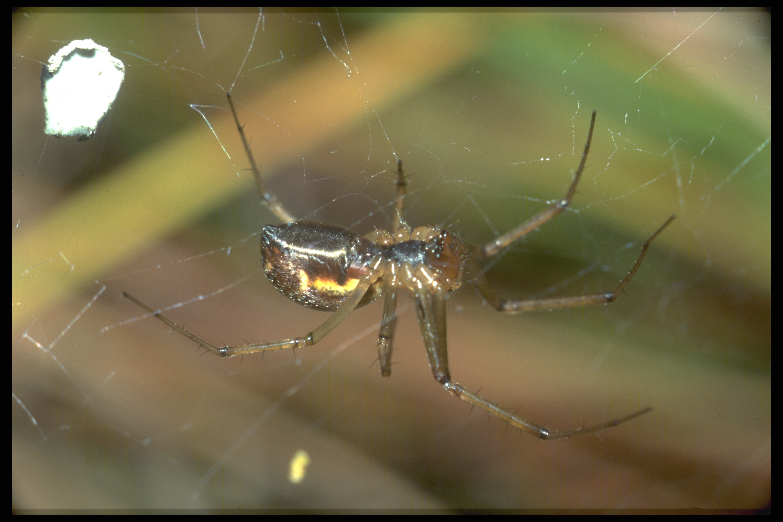 10062013205547 954 art 739 img0037