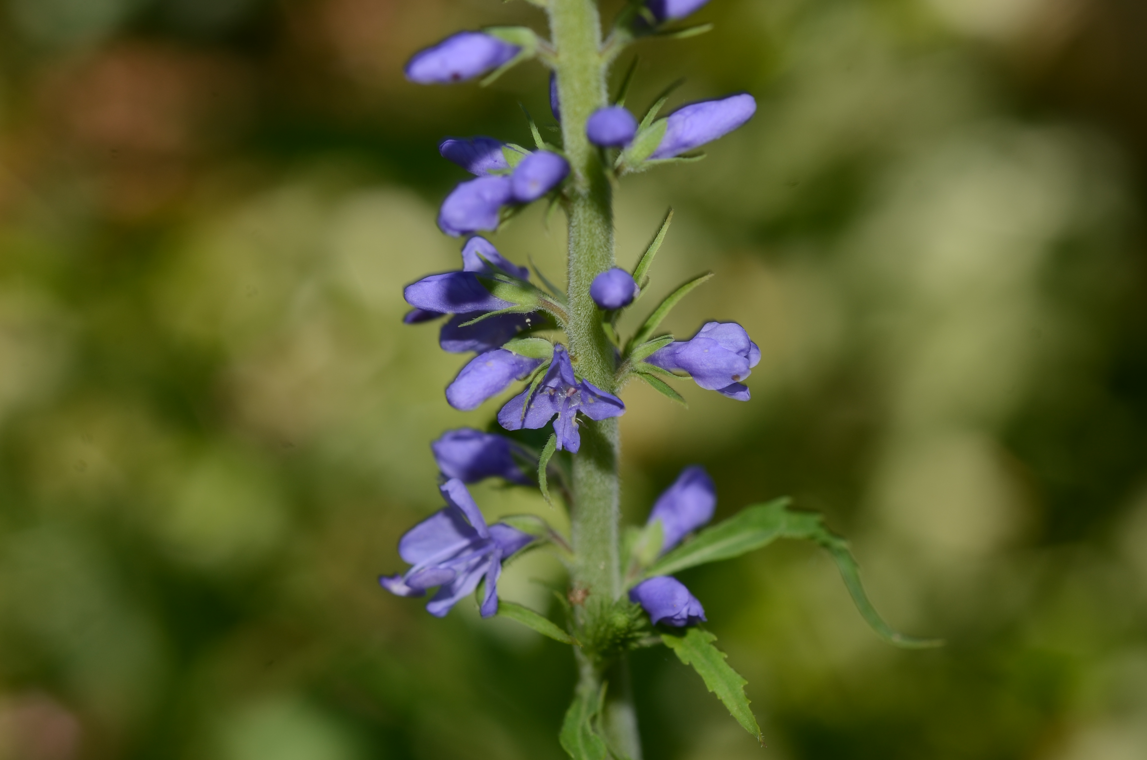 10062014115805 2502 art 1056 dsc 5154