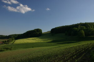 10082013103435 1277 lebensraum 1158 katzelsdorf reg bild 233