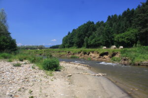 10082013104601 1280 lebensraum 1105 lafnitz sudl lafnitz 0 124 27