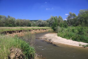 10082013105019 1282 lebensraum 1105 lafnitz sudl lafnitz 0 124 14