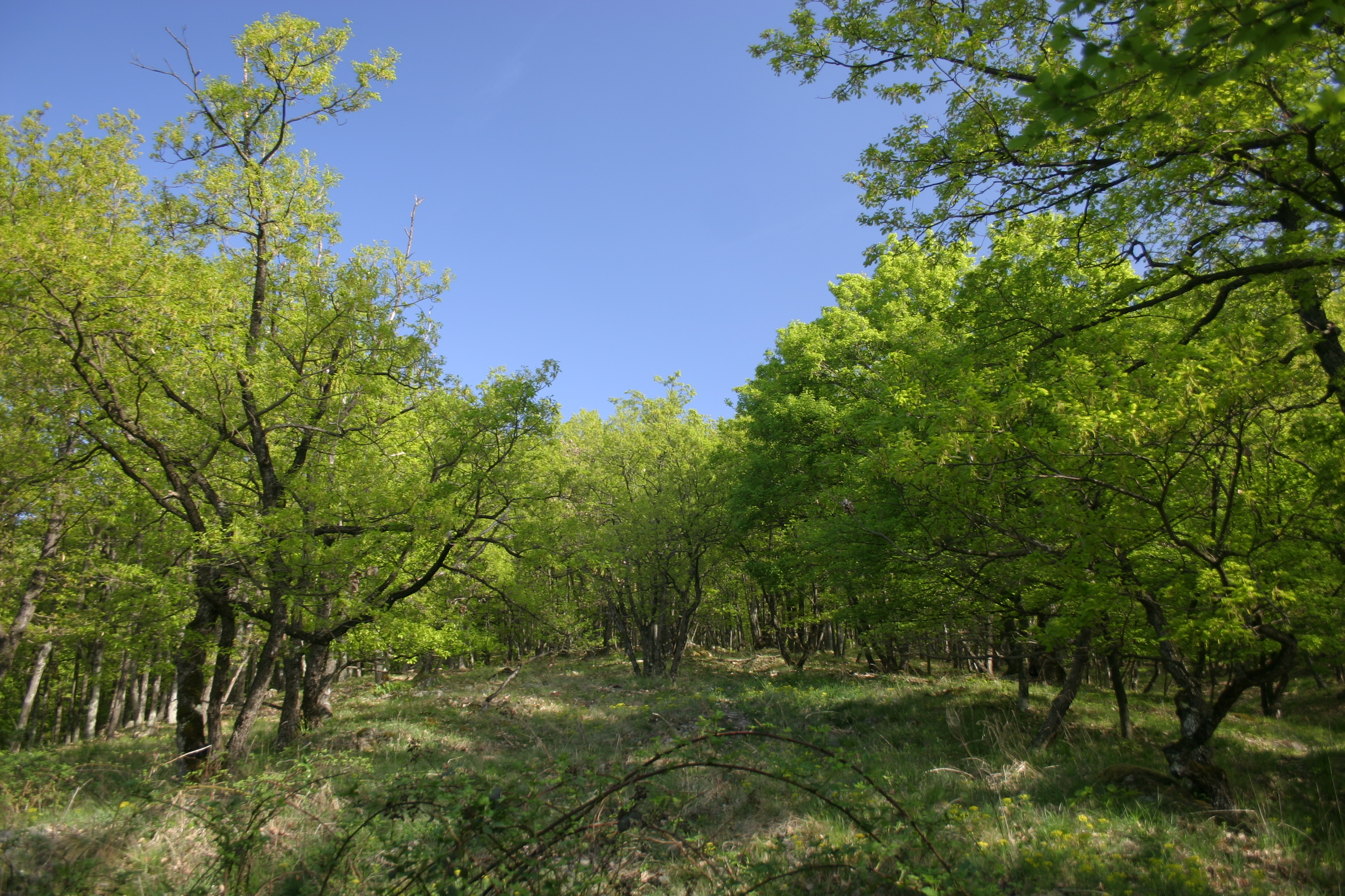 10082013110609 1285 lebensraum 1115 glbgbargr img 7929 10